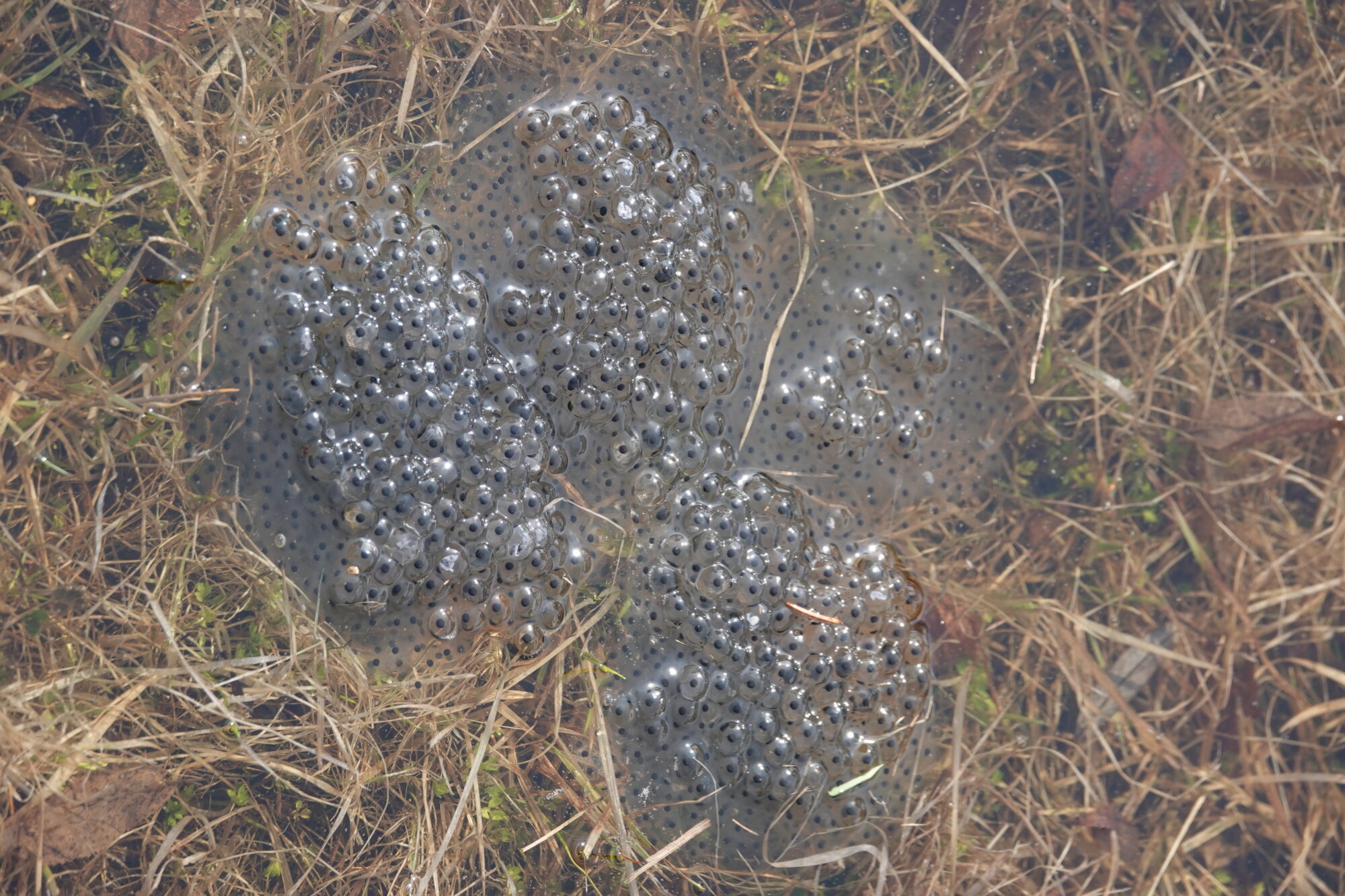 Valokuvaaja: Jenna Pitkänen