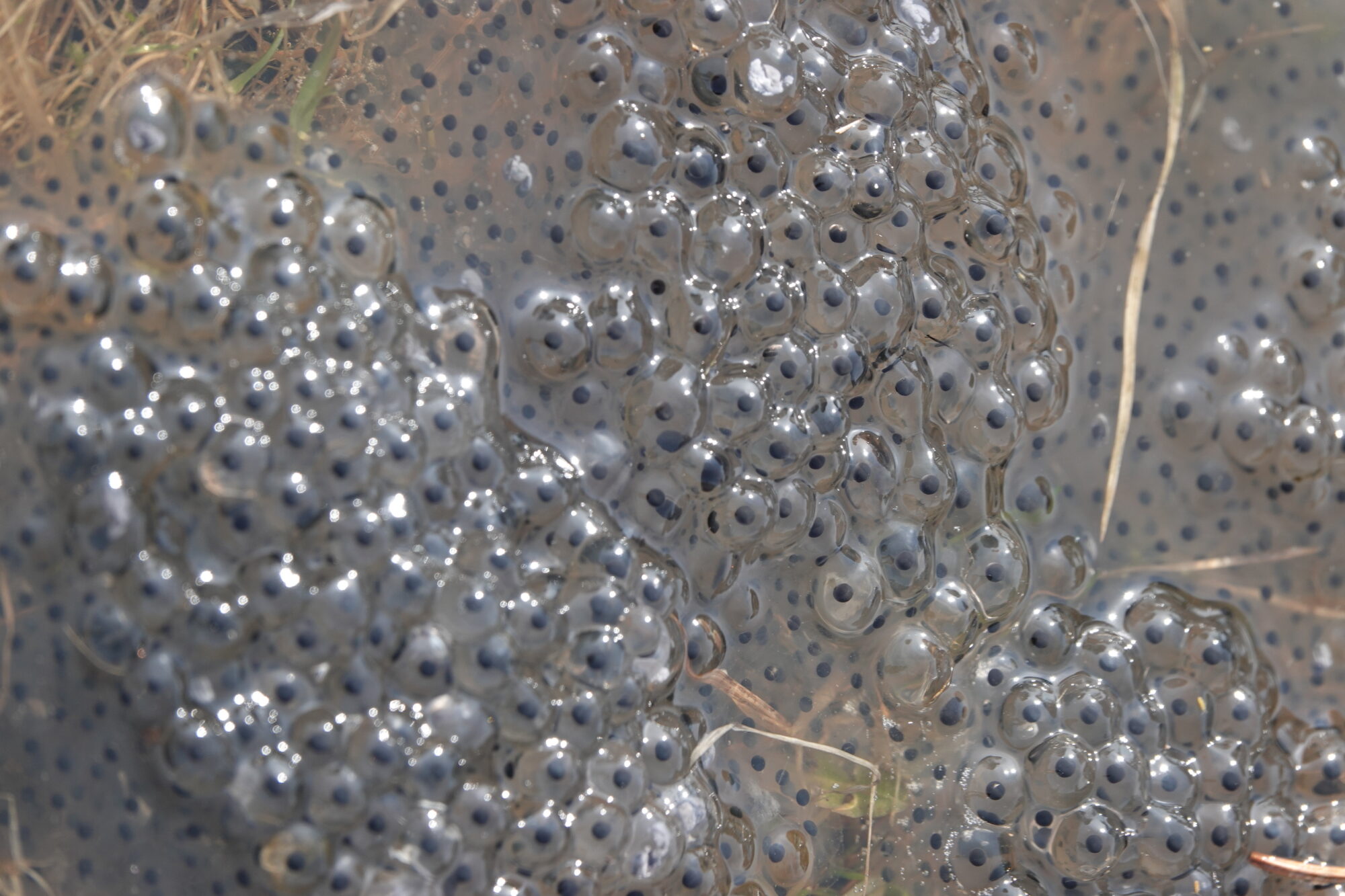 Valokuvaaja: Jenna Pitkänen