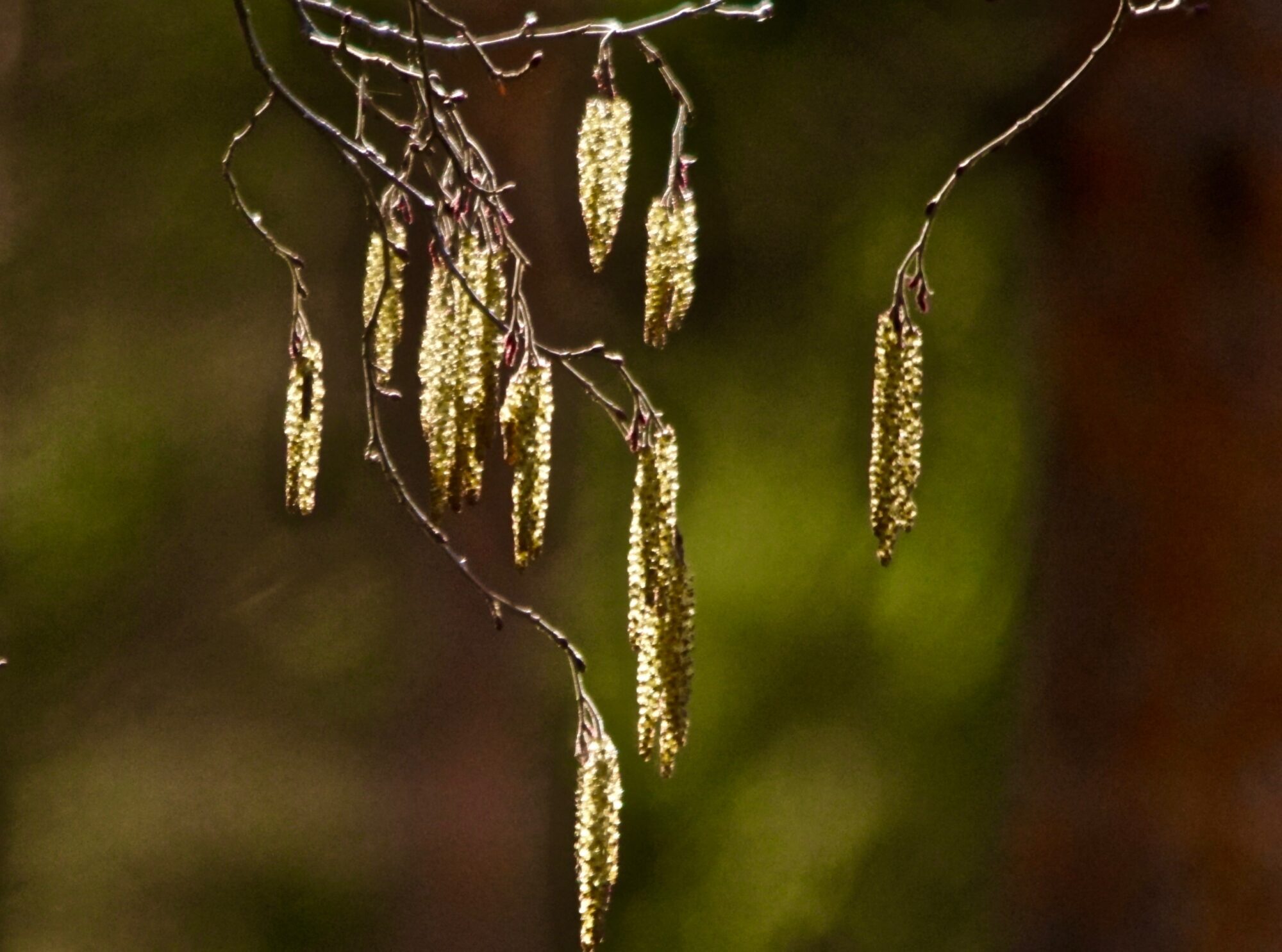 Valokuvaaja: Markku Ranta-Eilola
