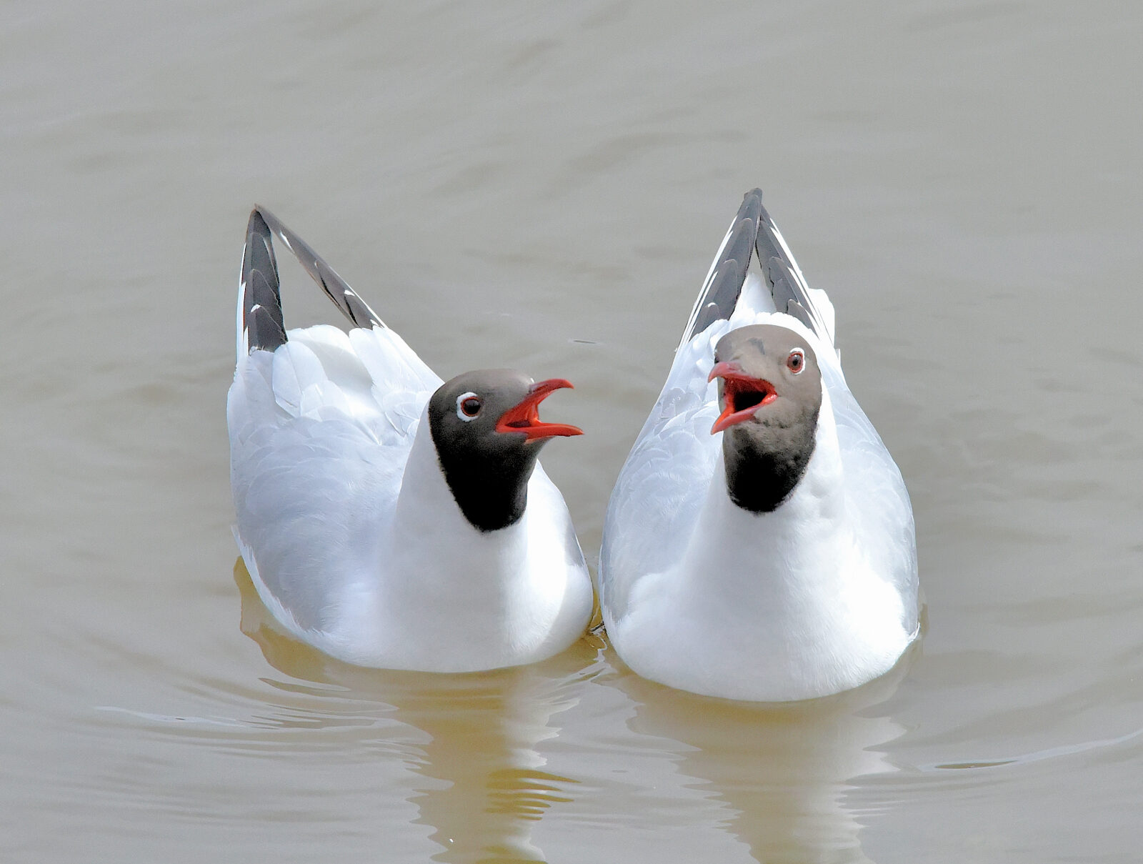 Valokuvaaja: Reijo Juurinen