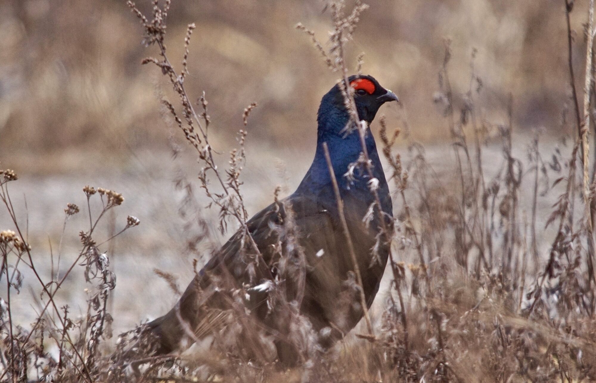 Valokuvaaja: Markku Ranta-Eilola