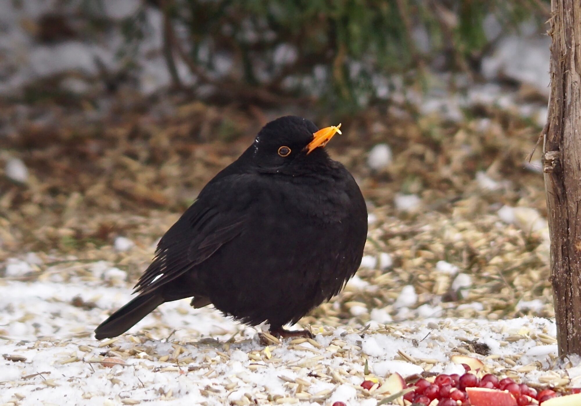 Valokuvaaja: Markku Ranta-Eilola