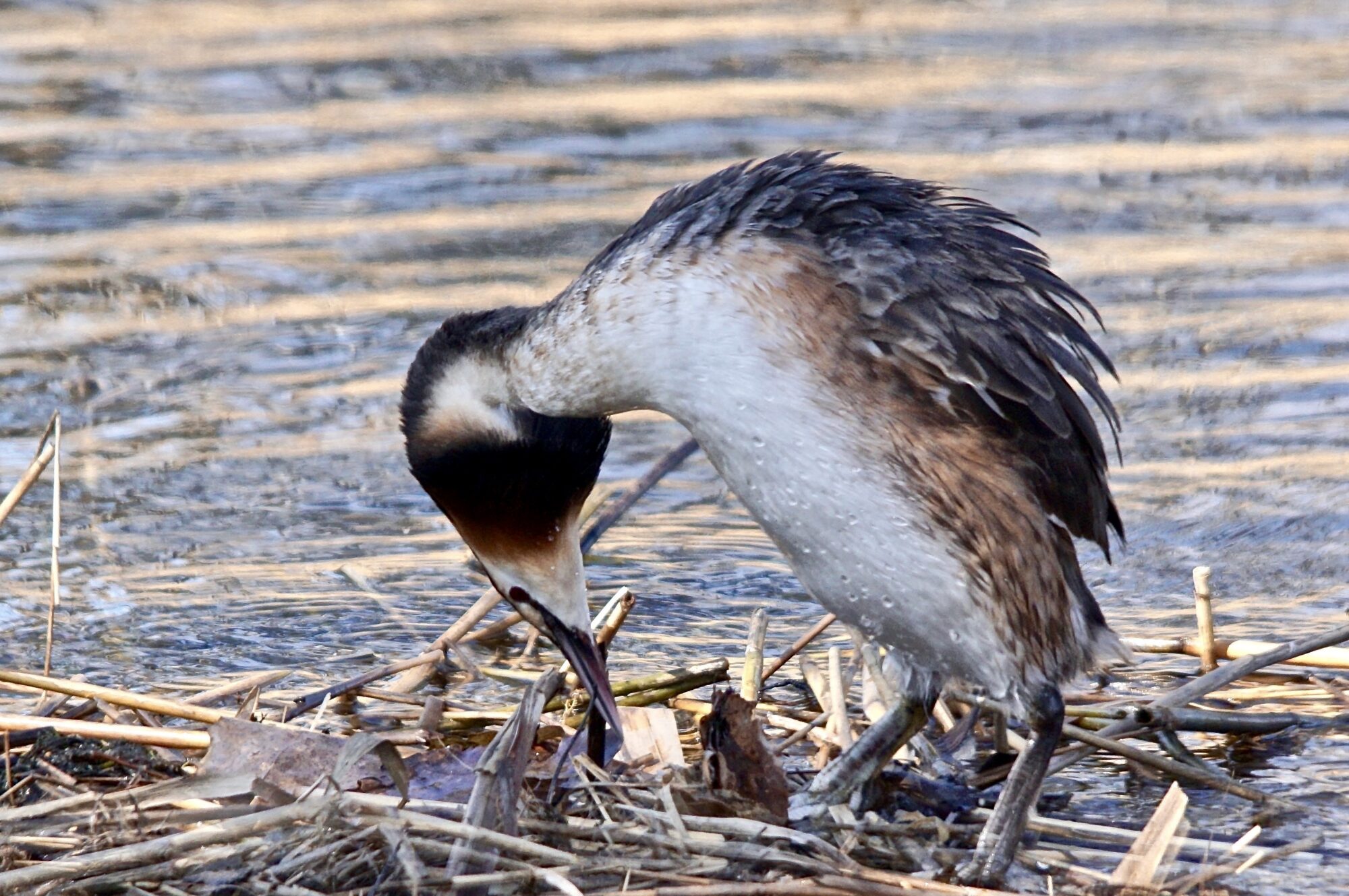 Valokuvaaja: Markku Ranta-Eilola
