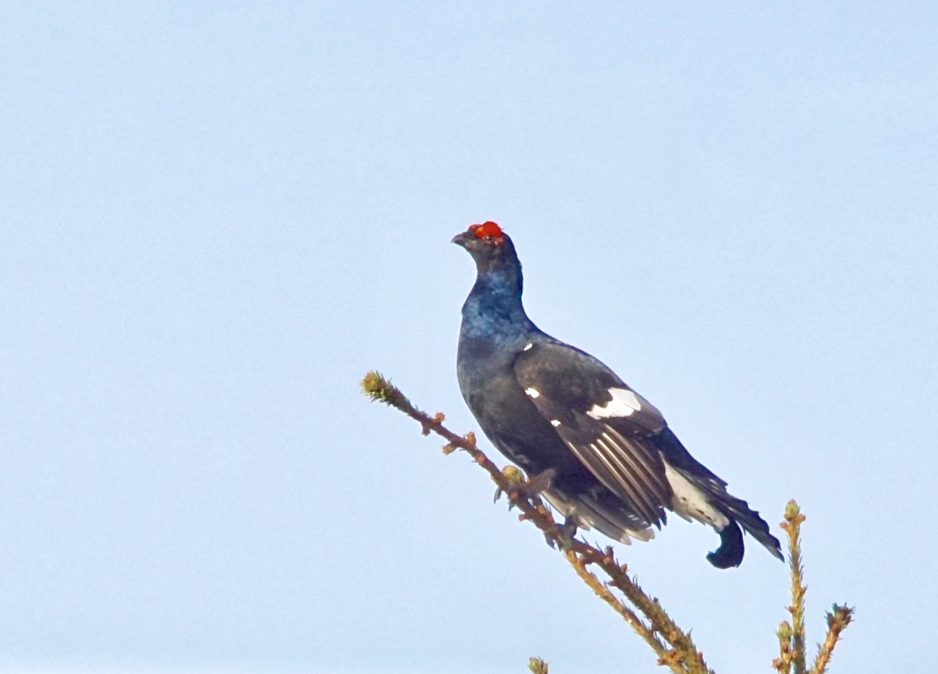 Valokuvaaja: Markku Ranta-Eilola