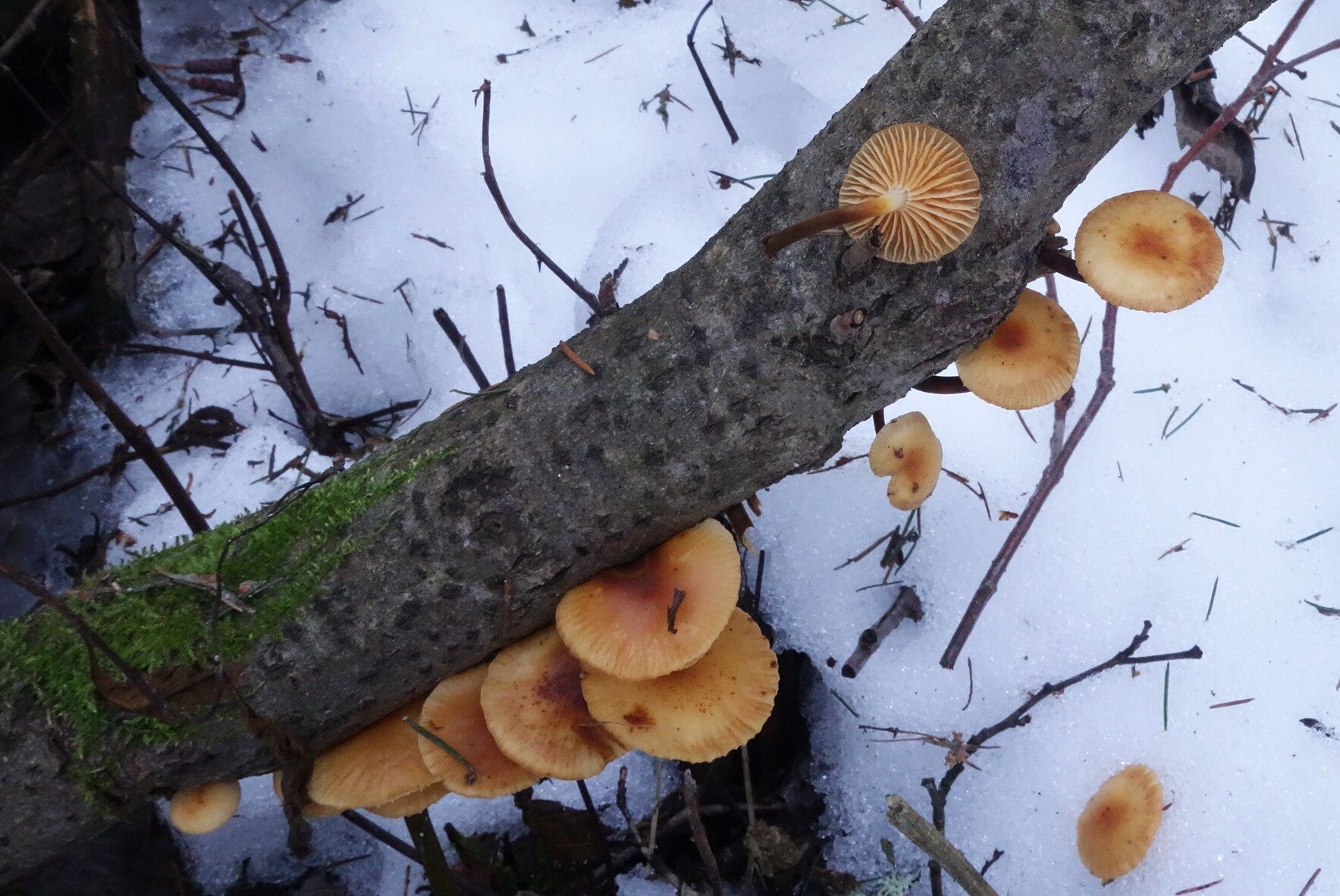 Valokuvaaja: Kaarina Heiskanen