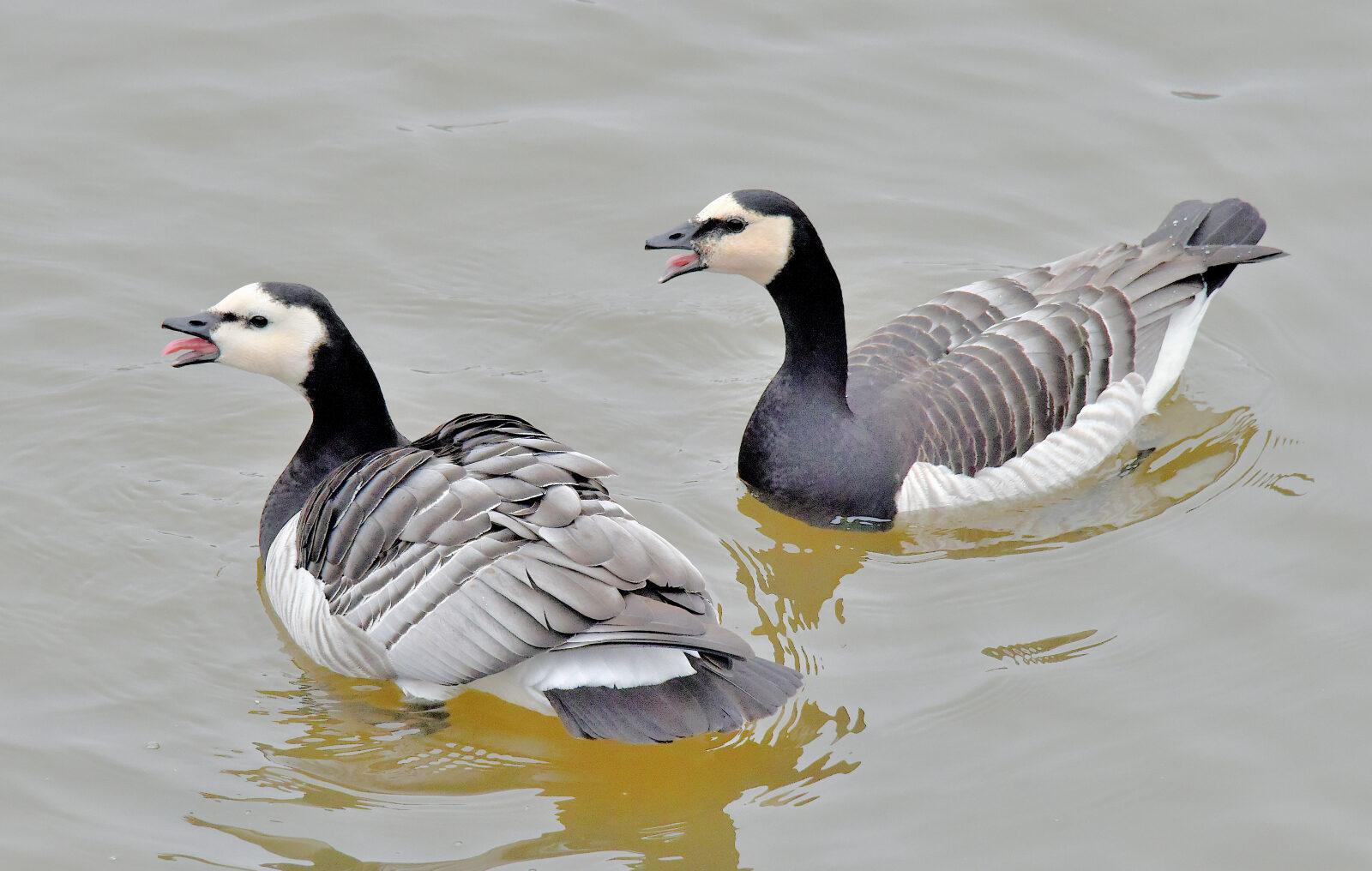 Valokuvaaja: Reijo Juurinen
