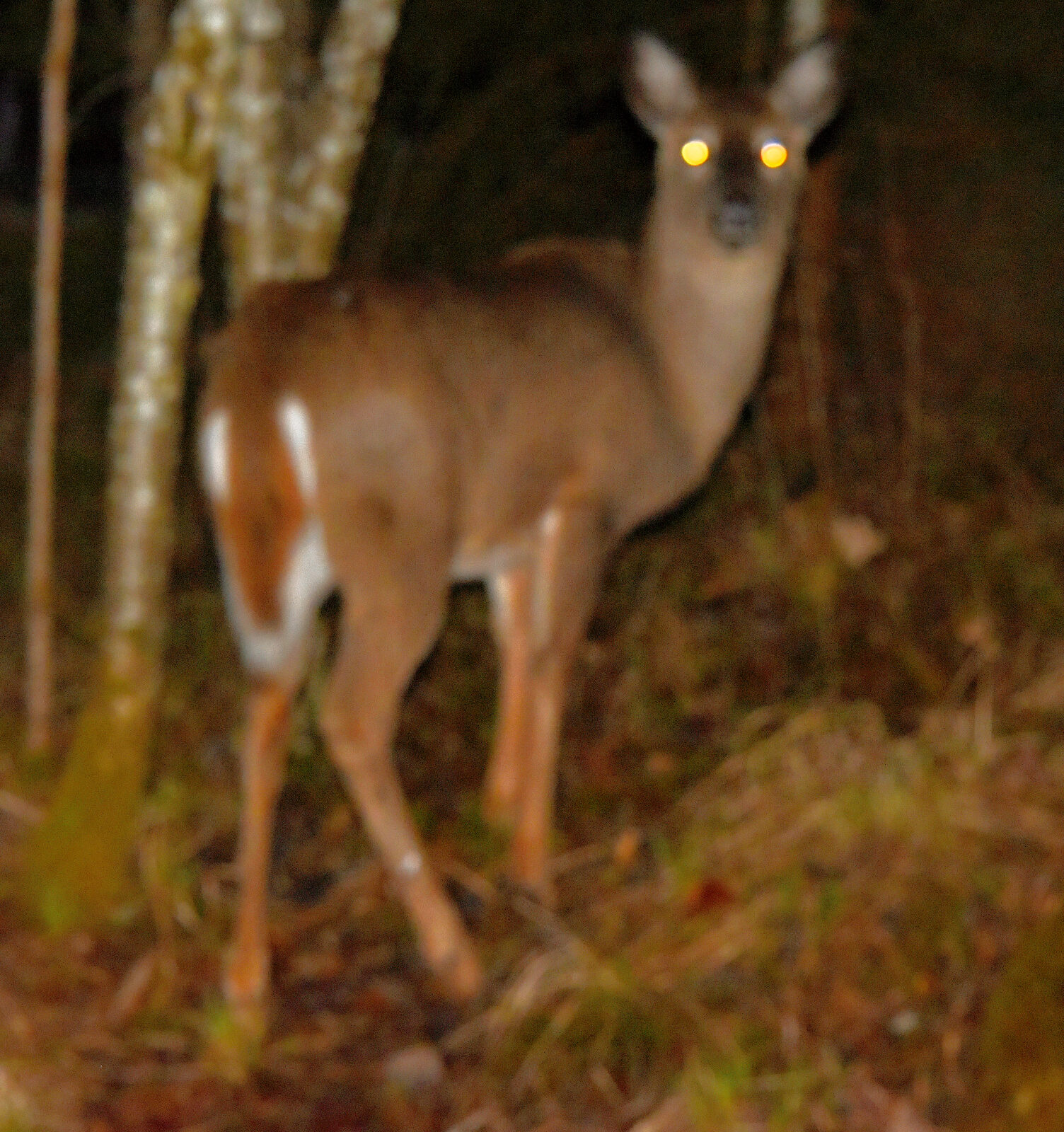 Valokuvaaja: Reijo Juurinen
