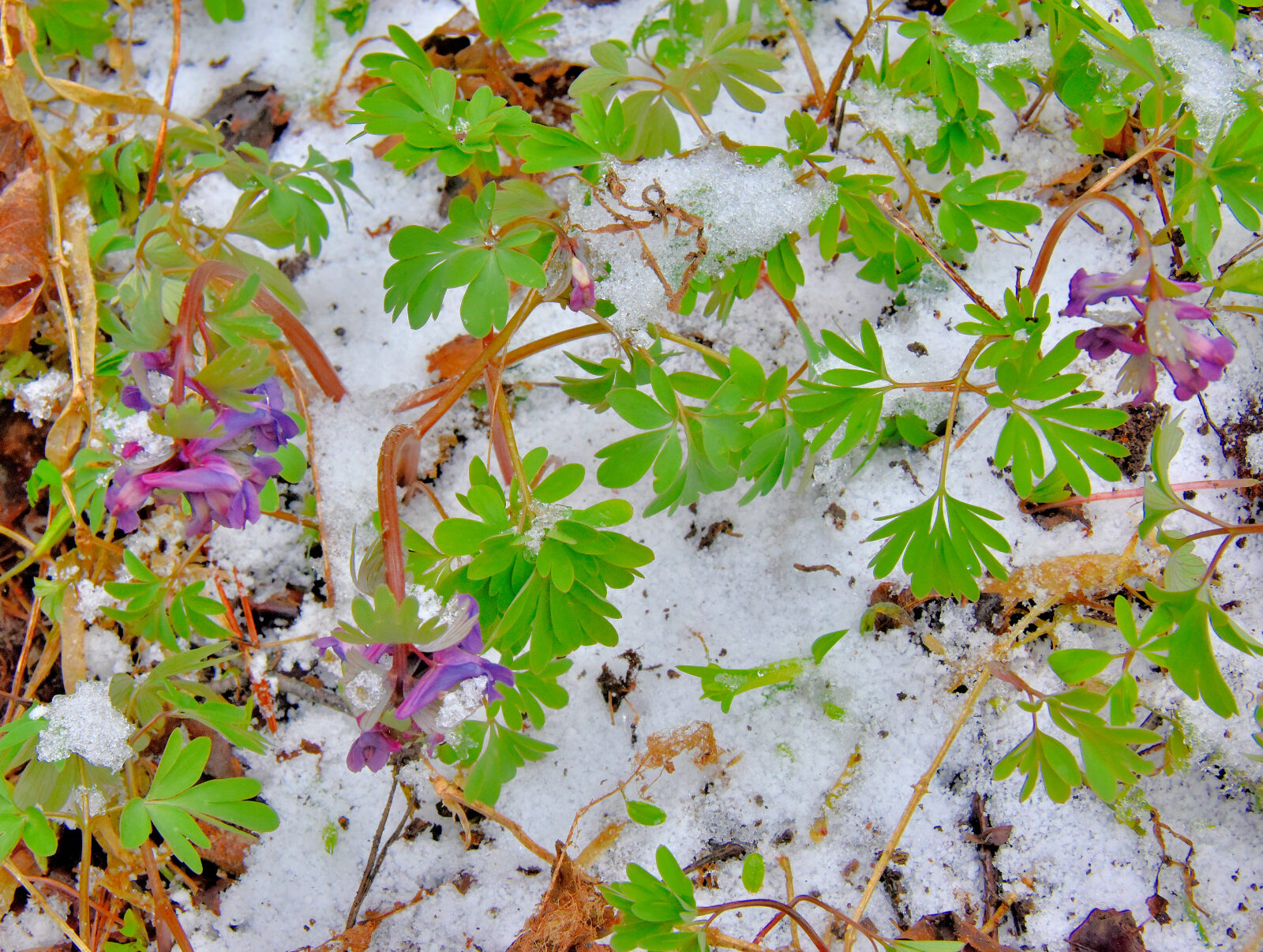 Valokuvaaja: Reijo Juurinen
