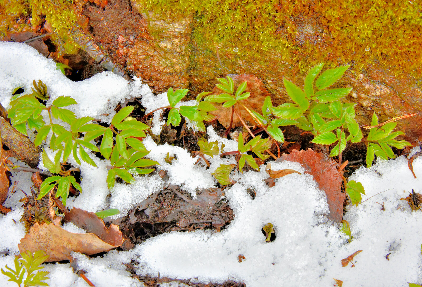 Valokuvaaja: Reijo Juurinen