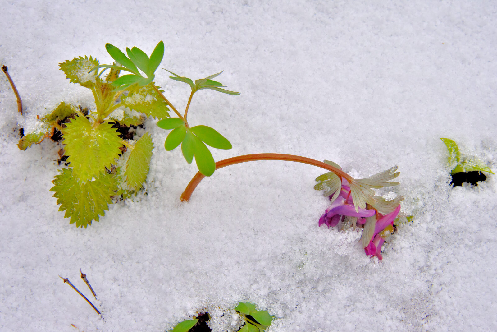 Valokuvaaja: Reijo Juurinen