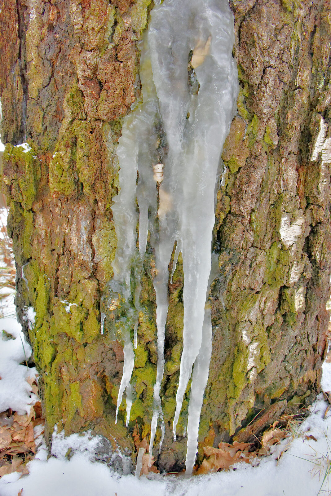 Valokuvaaja: Reijo Juurinen