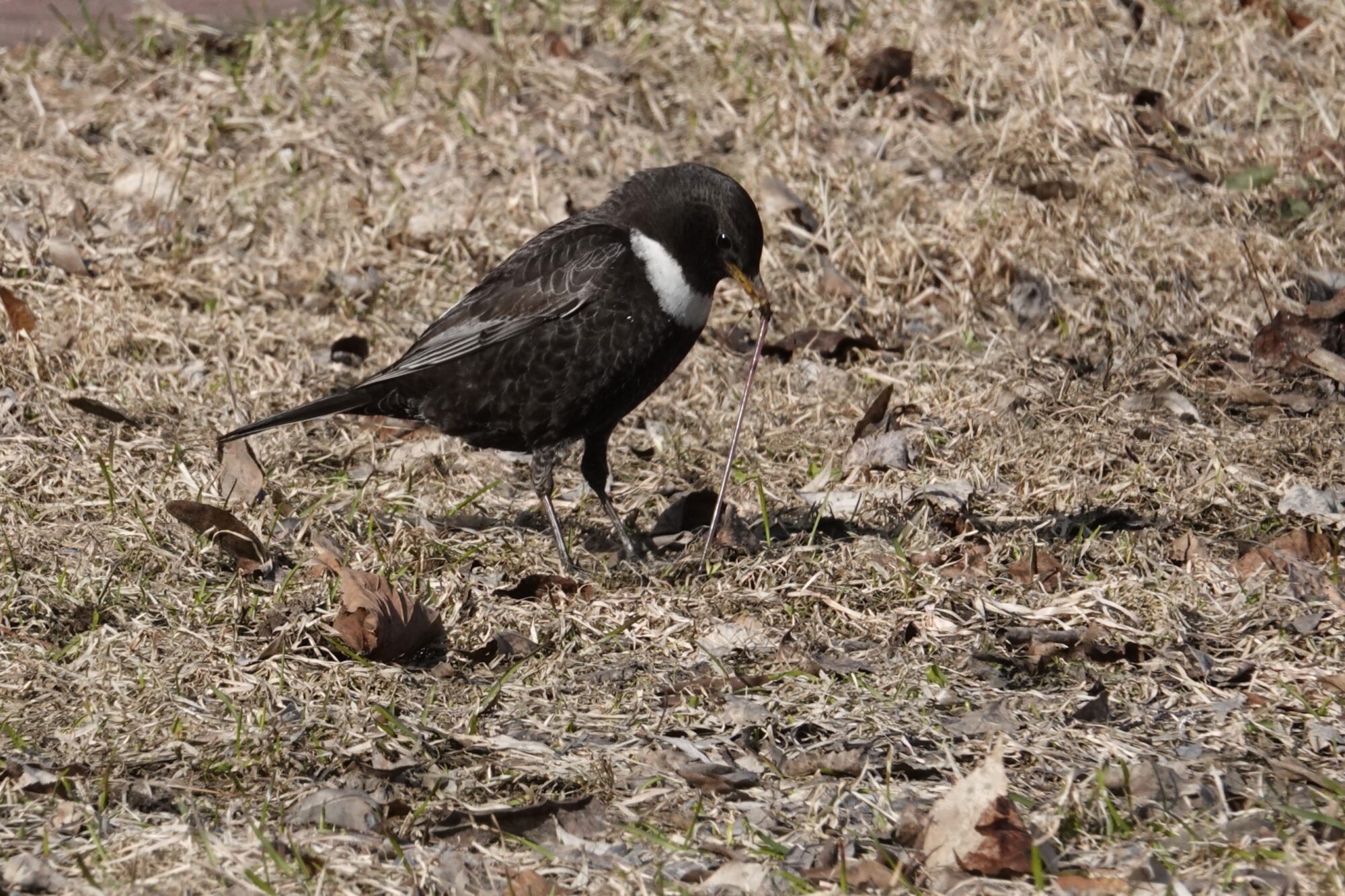 Valokuvaaja: Maarit Siitonen