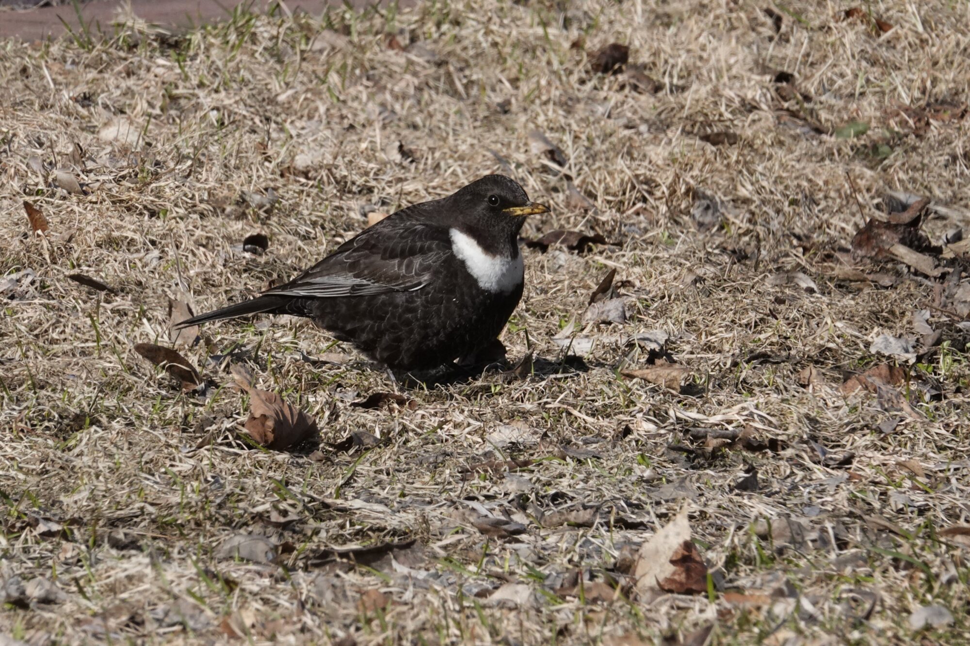 Valokuvaaja: Maarit Siitonen