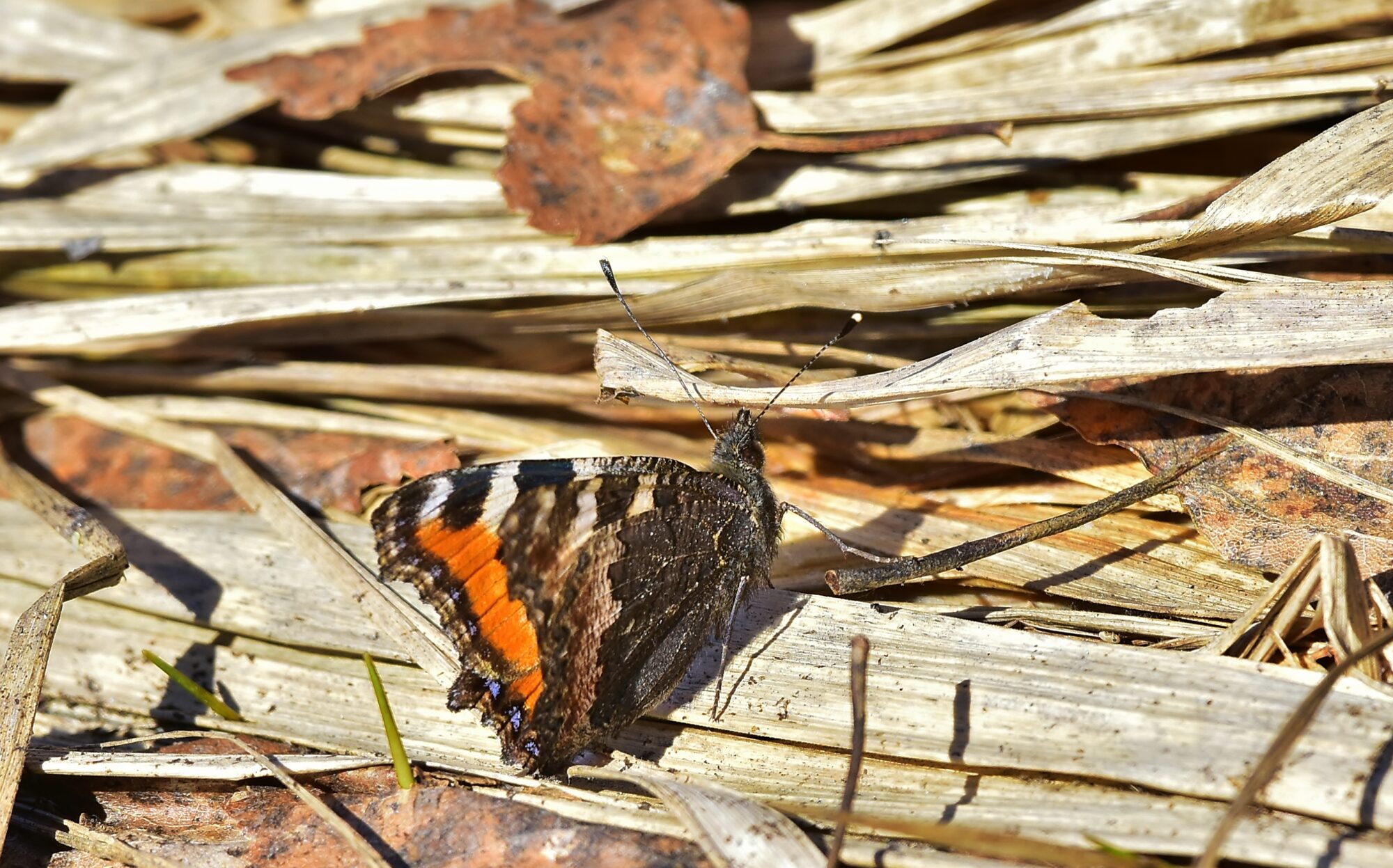 Valokuvaaja: Markku Pelkonen