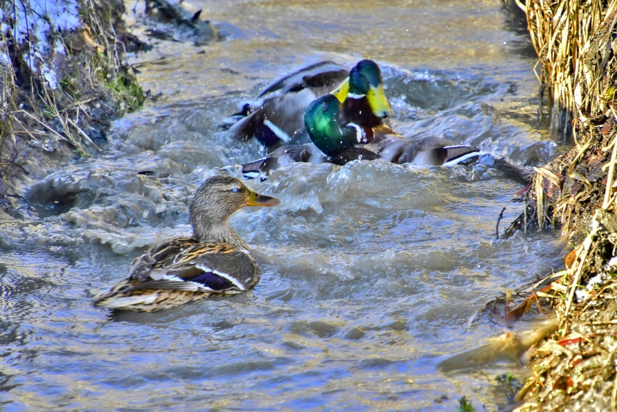 Valokuvaaja: Markku Pelkonen