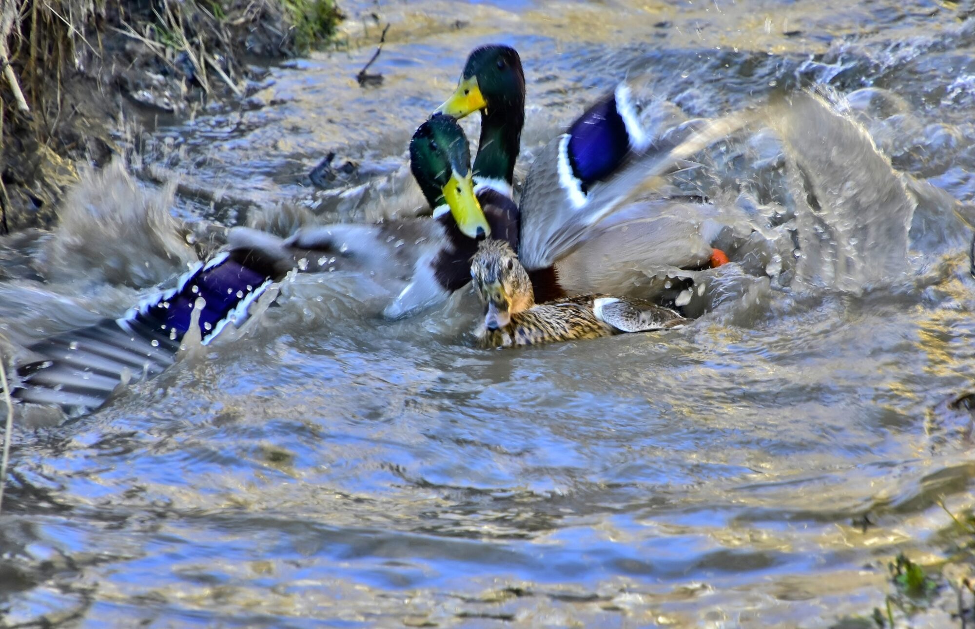 Valokuvaaja: Markku Pelkonen