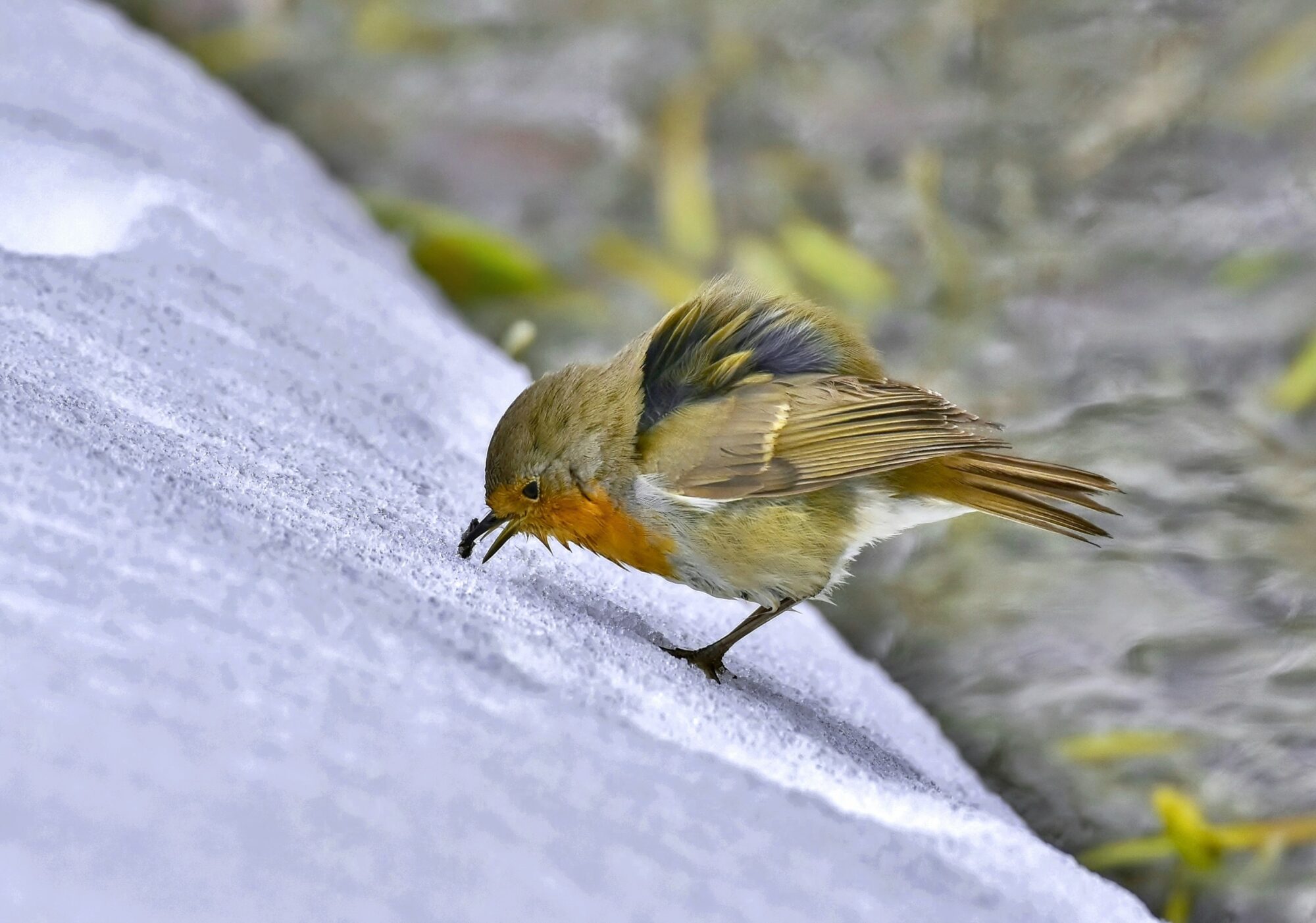 Valokuvaaja: Markku Pelkonen