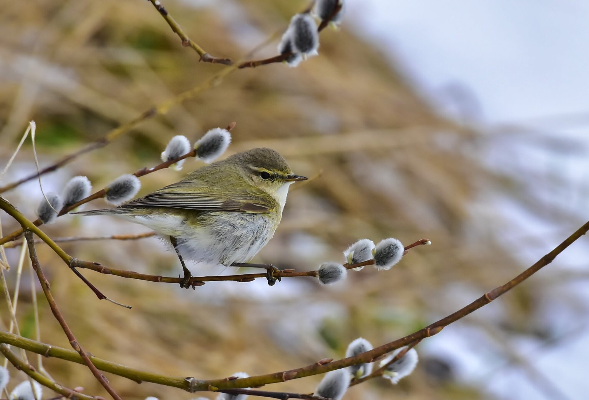 Valokuvaaja: Markku Pelkonen
