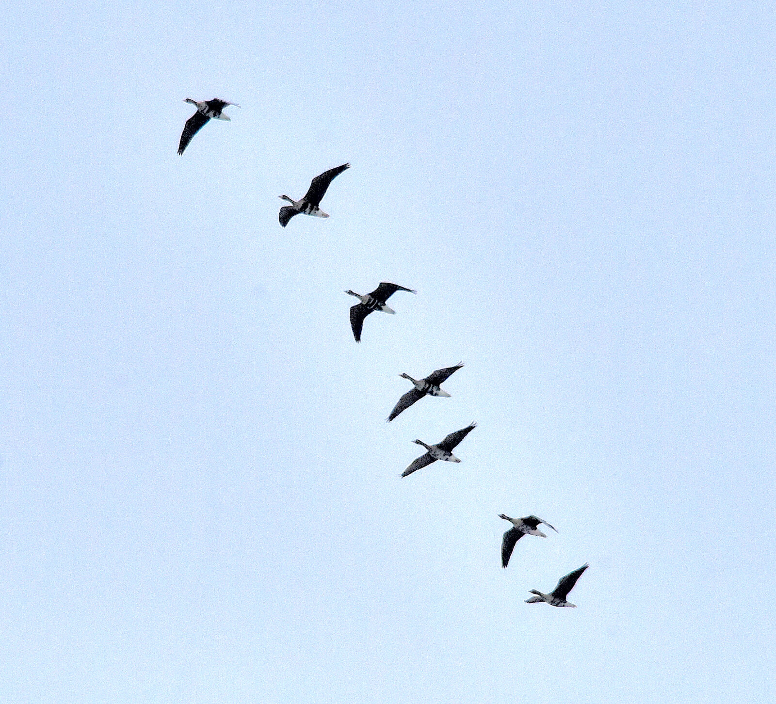 Valokuvaaja: Reijo Juurinen