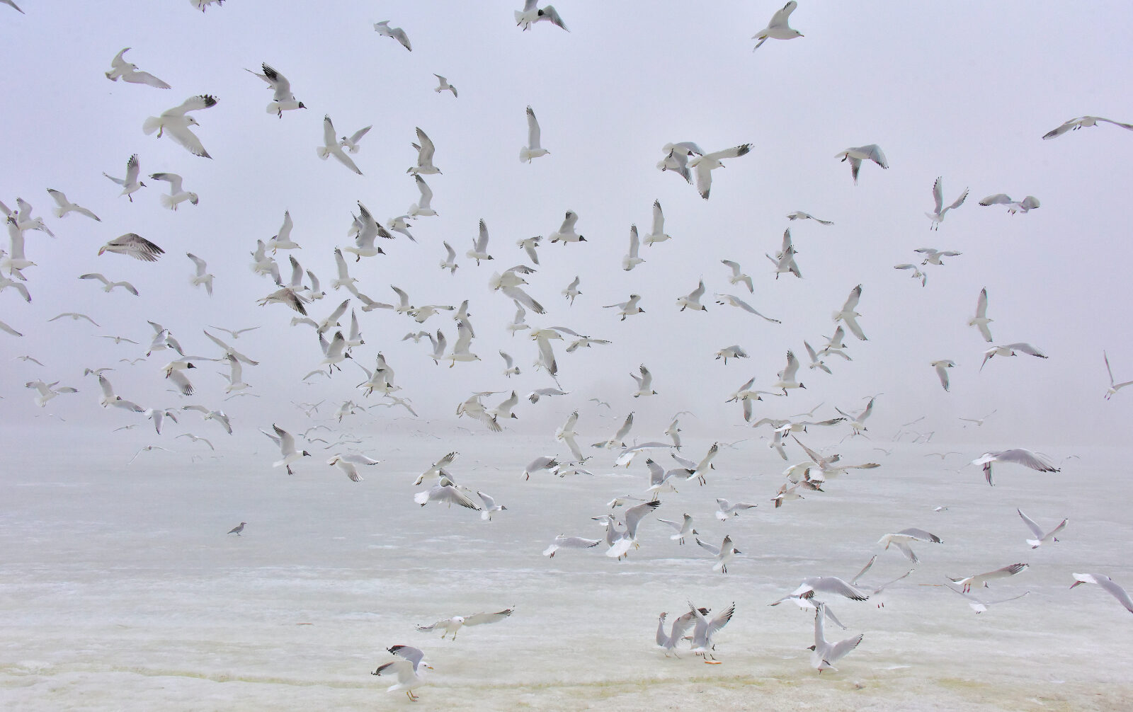 Valokuvaaja: Reijo Juurinen