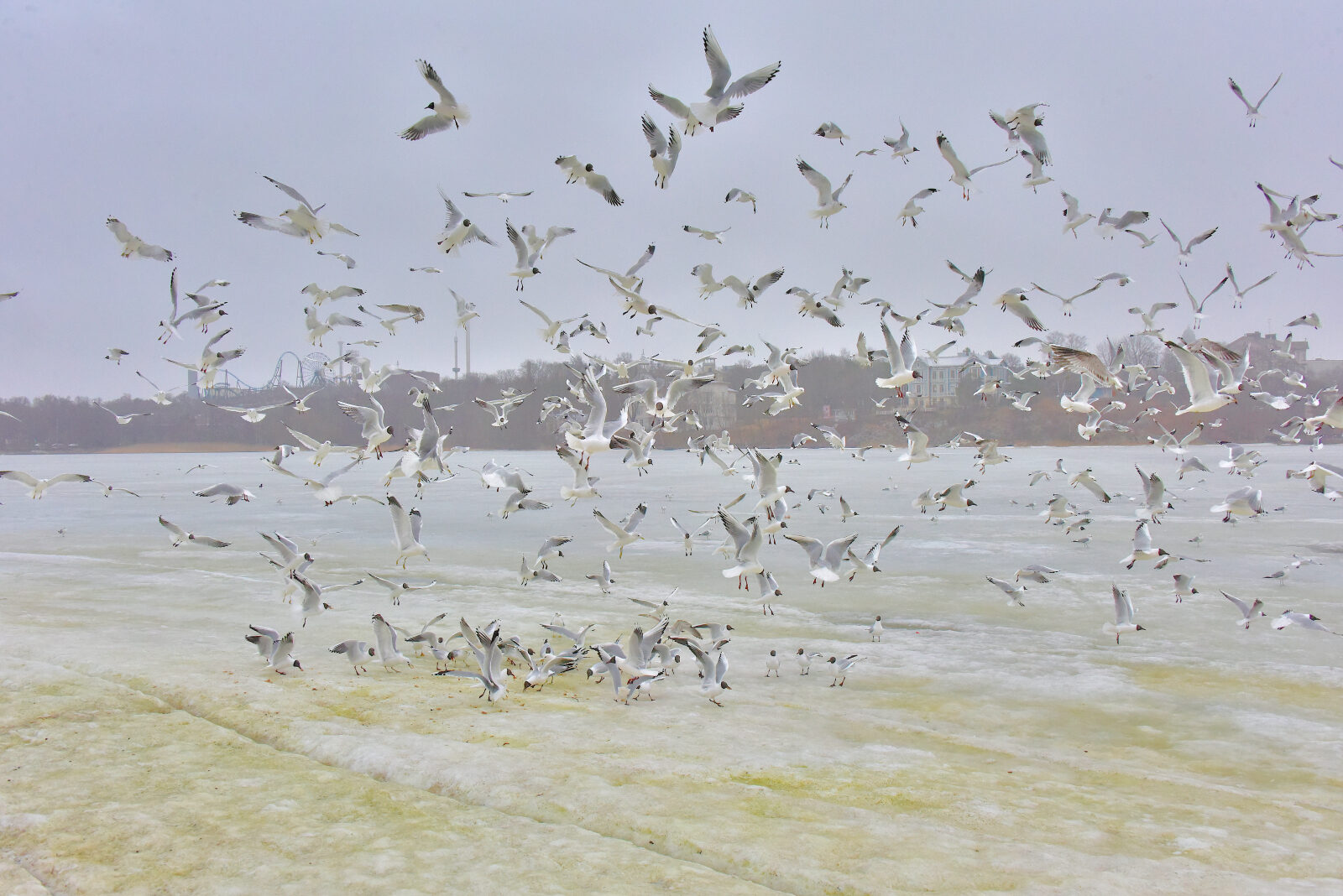 Valokuvaaja: Reijo Juurinen