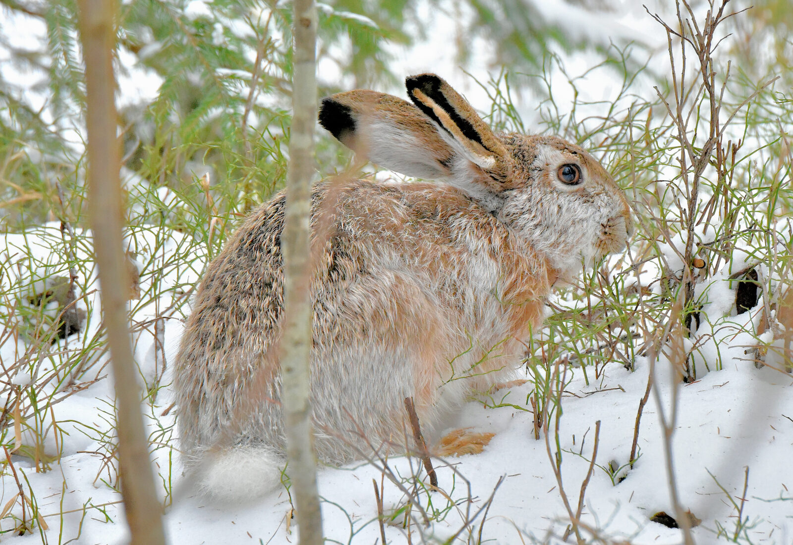 Valokuvaaja: Reijo Juurinen