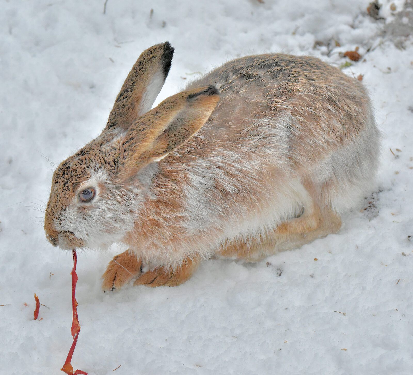 Valokuvaaja: Reijo Juurinen