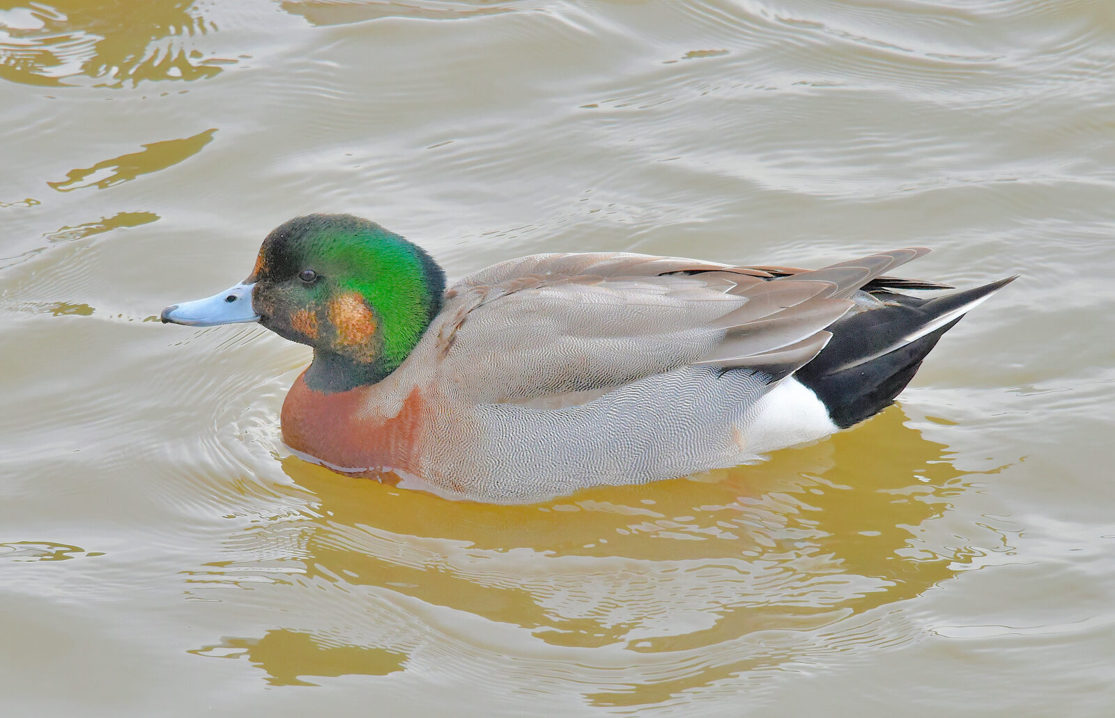Valokuvaaja: Reijo Juurinen