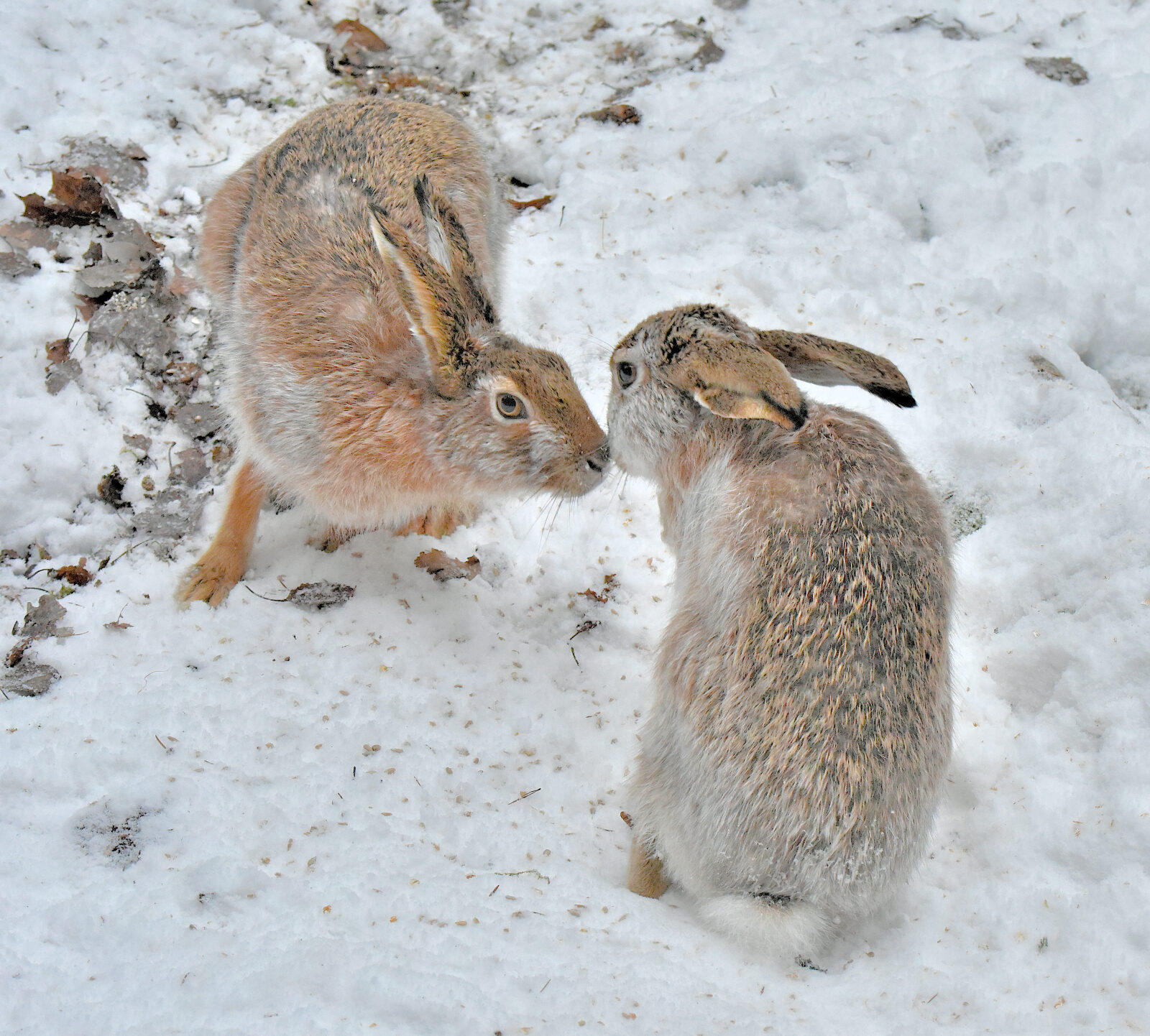 Valokuvaaja: Reijo Juurinen
