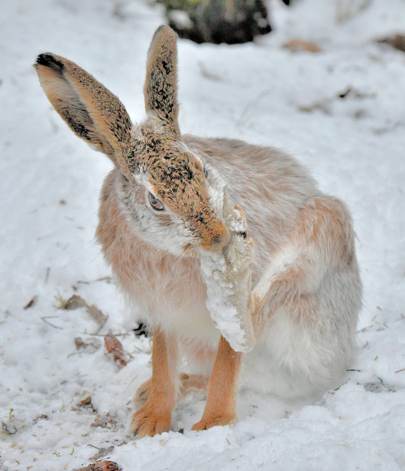 Valokuvaaja: Reijo Juurinen