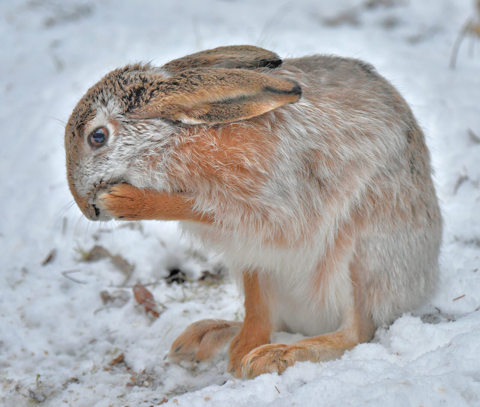 Valokuvaaja: Reijo Juurinen
