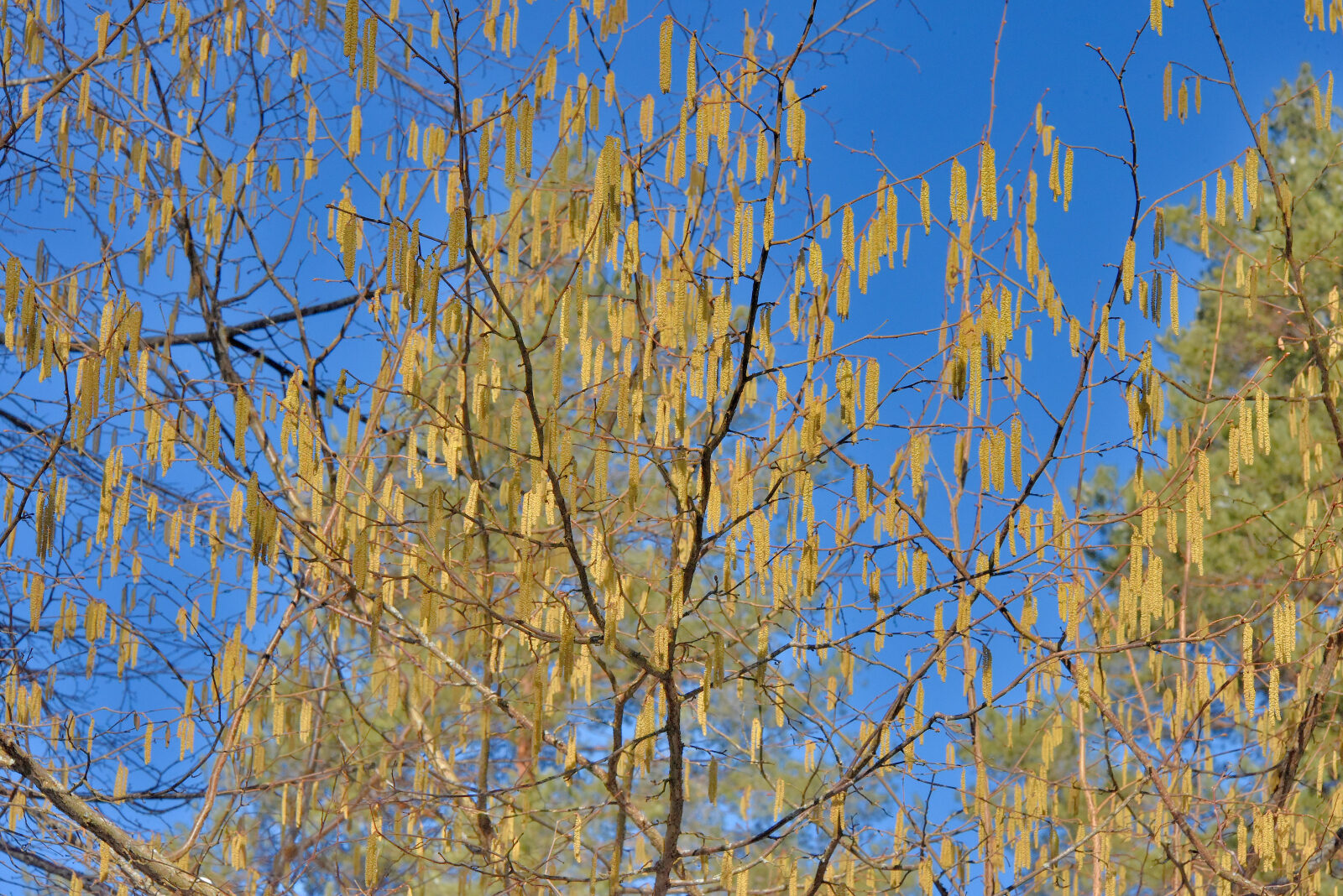 Valokuvaaja: Reijo Juurinen