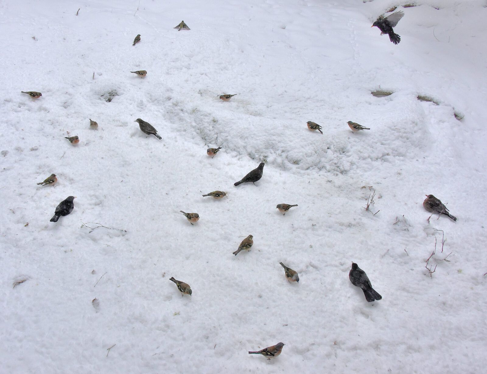 Valokuvaaja: Reijo Juurinen Valokuvaaja: Reijo Juurinen