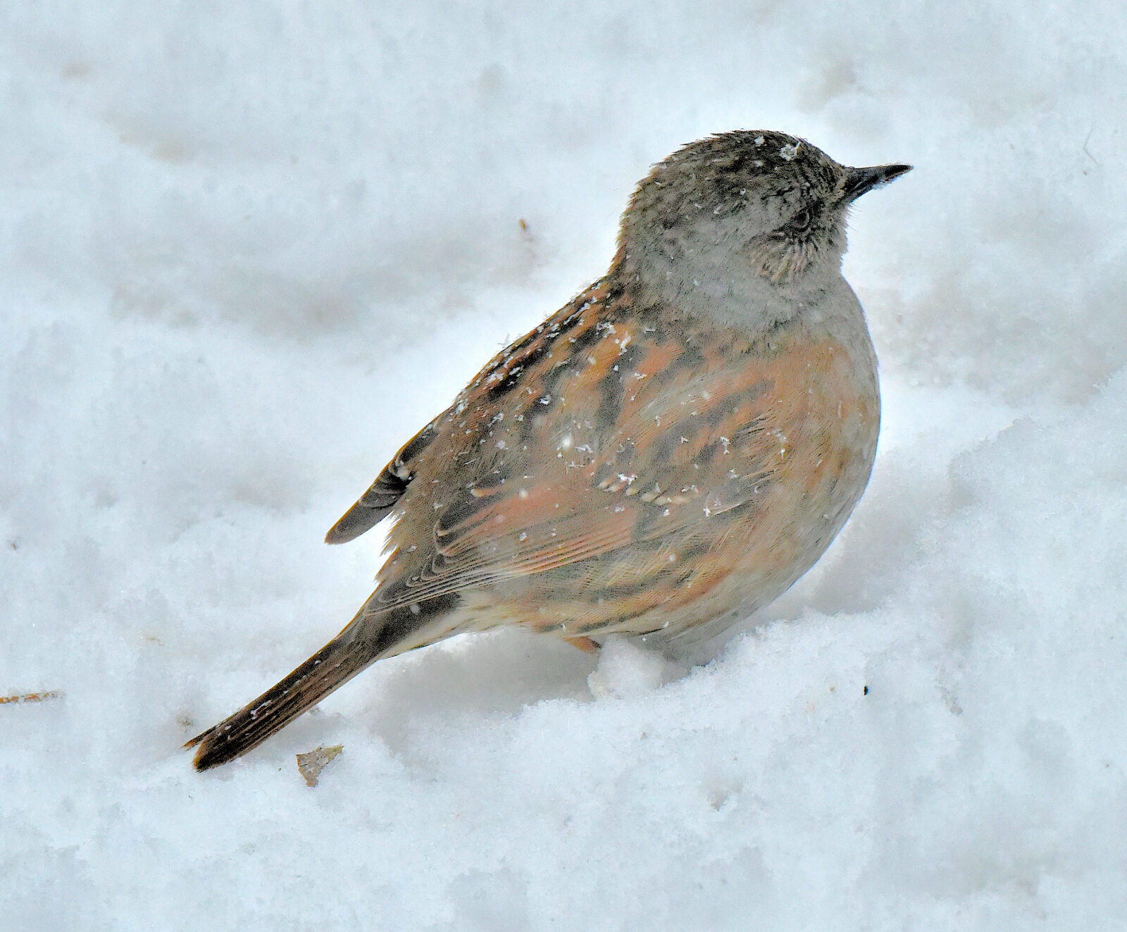 Valokuvaaja: Reijo Juurinen