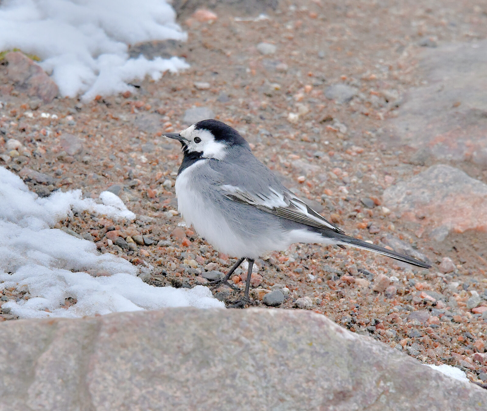 Valokuvaaja: Reijo Juurinen