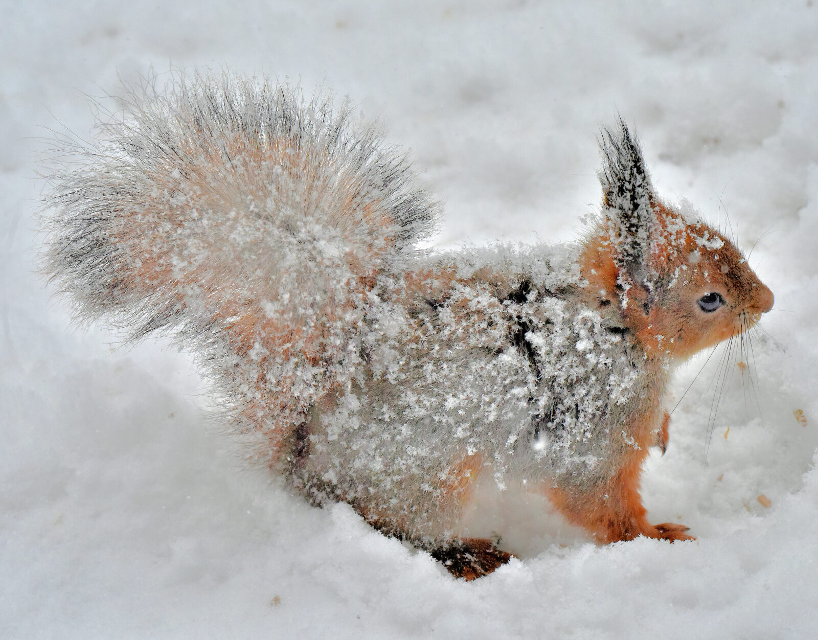 Valokuvaaja: Reijo Juurinen