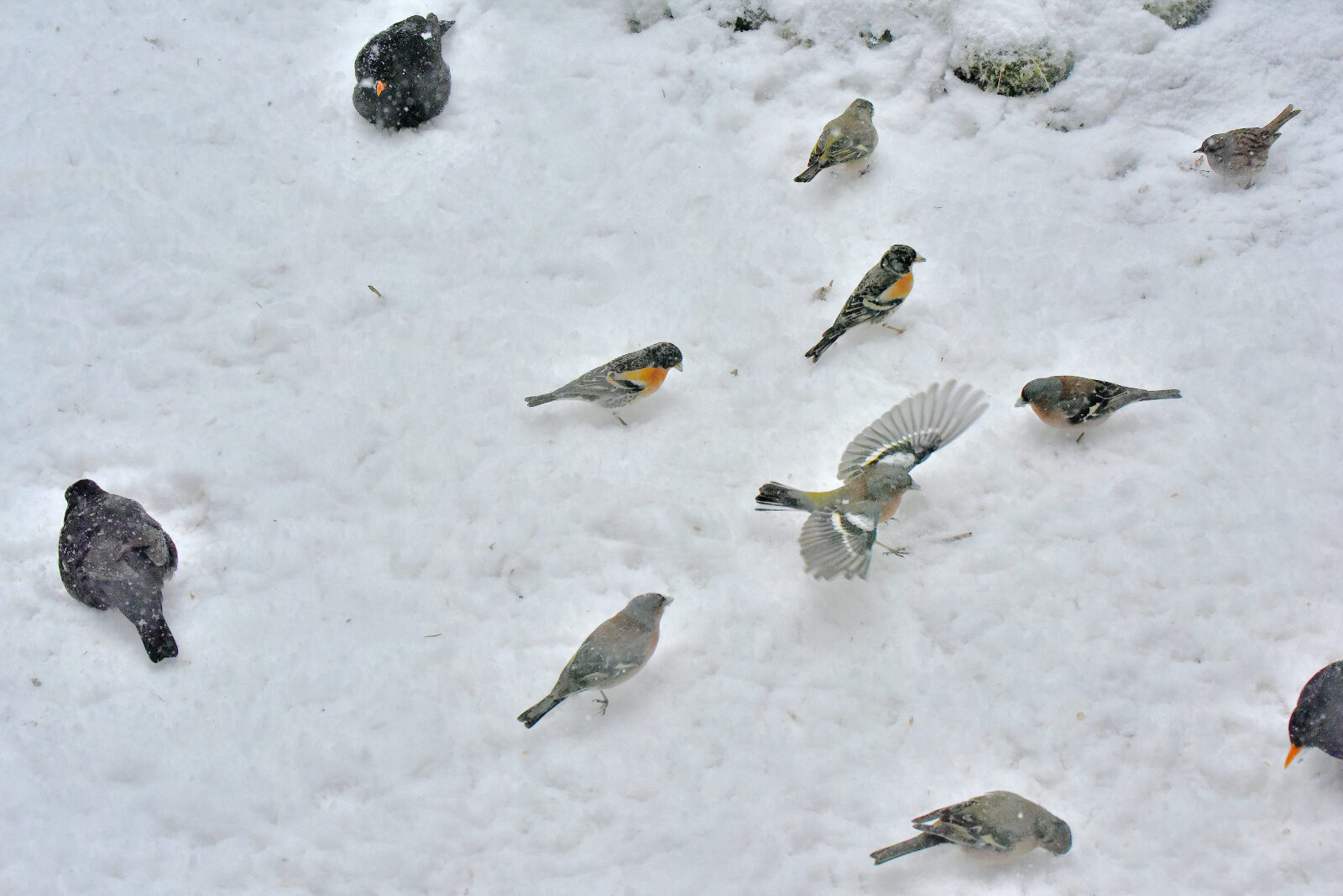 Valokuvaaja: Reijo Juurinen