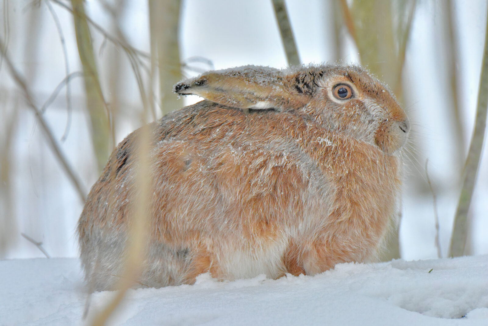 Valokuvaaja: Reijo Juurinen Valokuvaaja: Reijo Juurinen