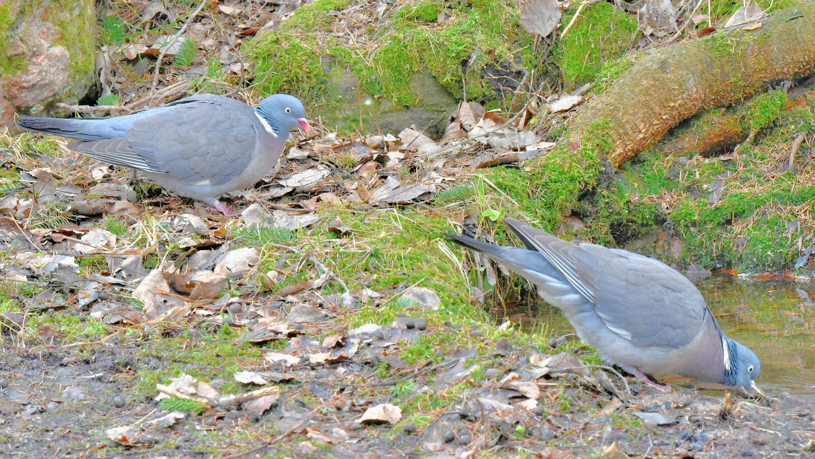 Valokuvaaja: Reijo Juurinen