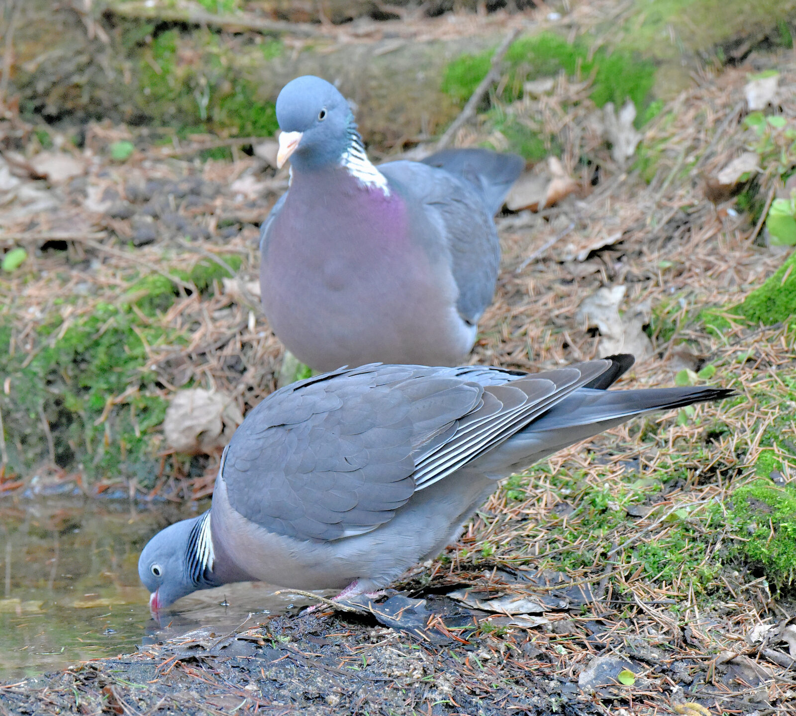 Valokuvaaja: Reijo Juurinen