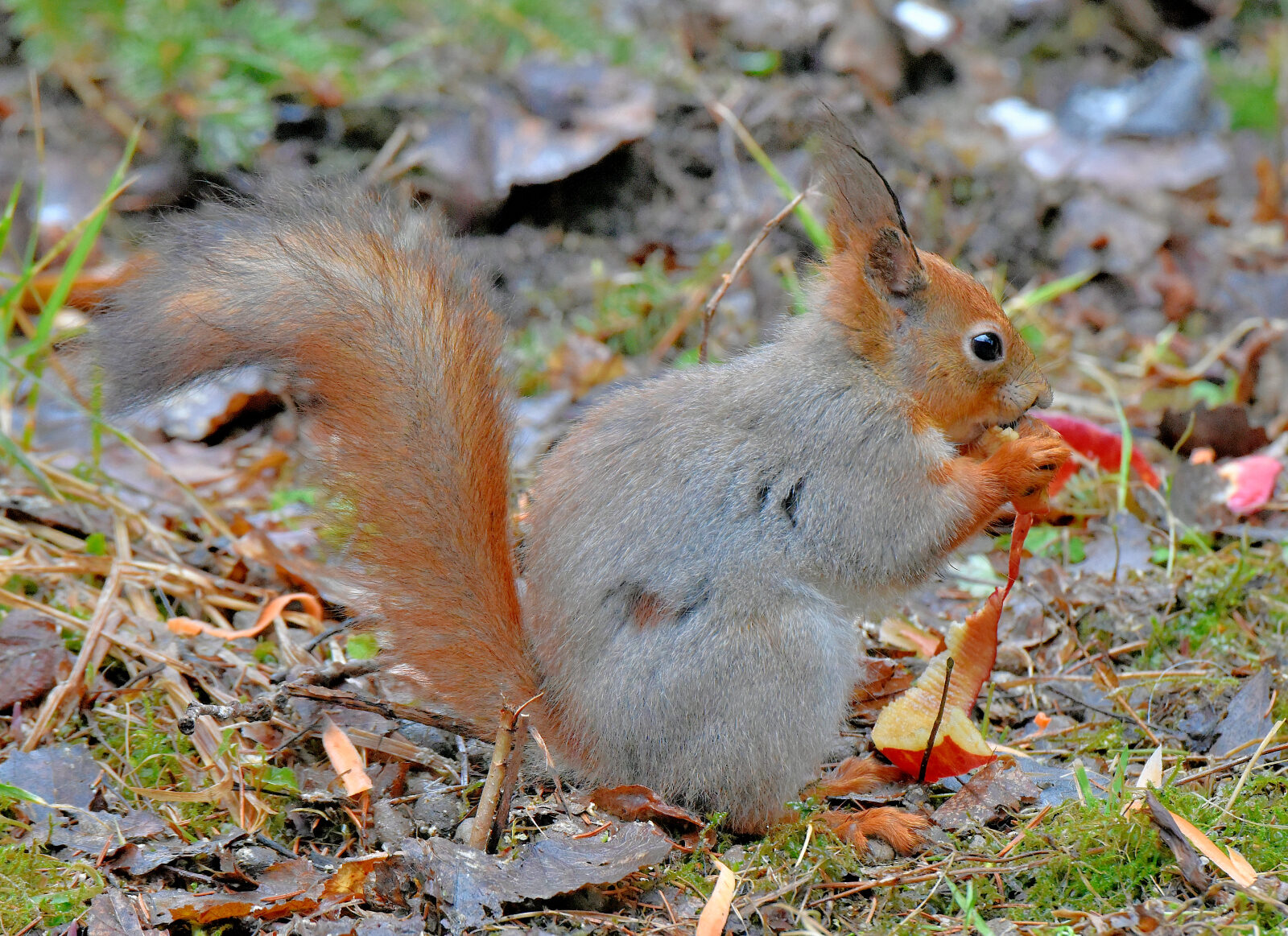 Valokuvaaja: Reijo Juurinen