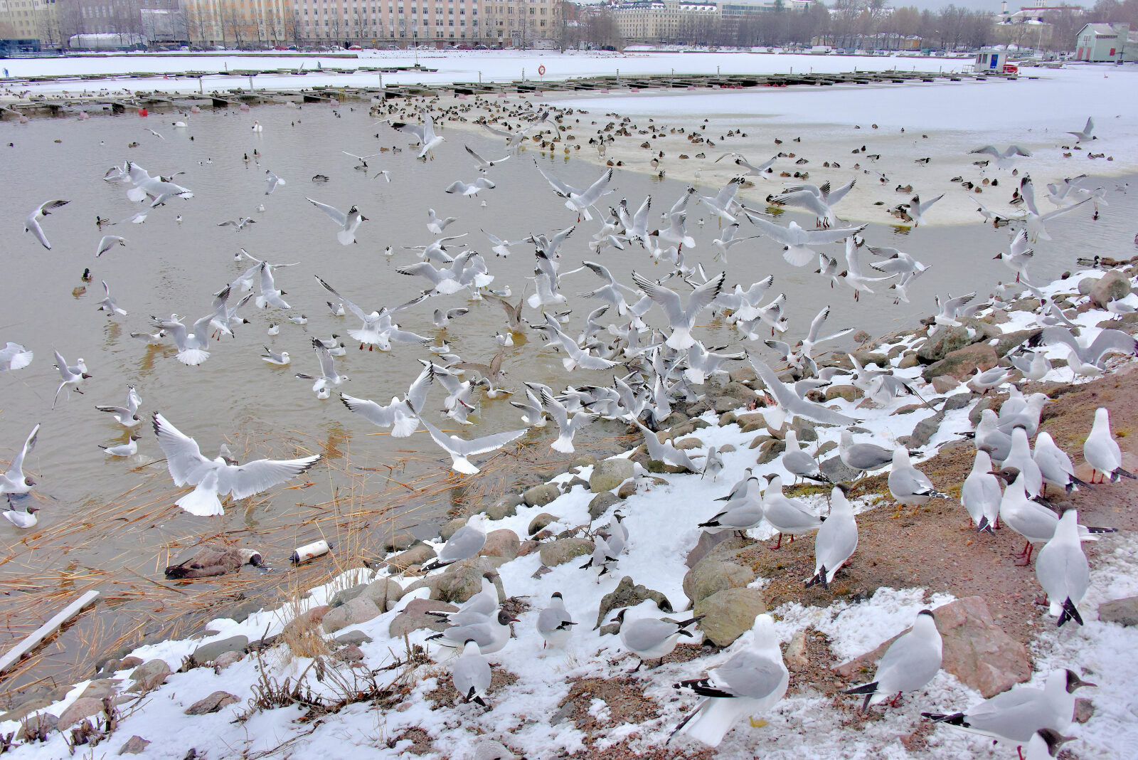 Valokuvaaja: Reijo Juurinen