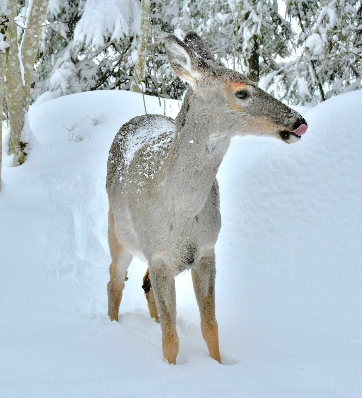 Valokuvaaja: Reijo Juurinen
