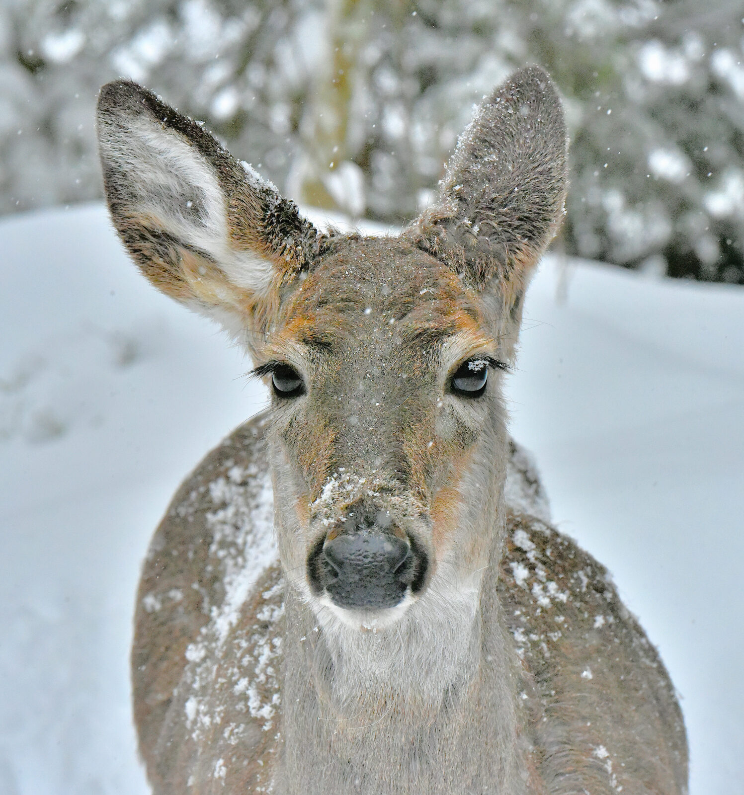 Valokuvaaja: Reijo Juurinen
