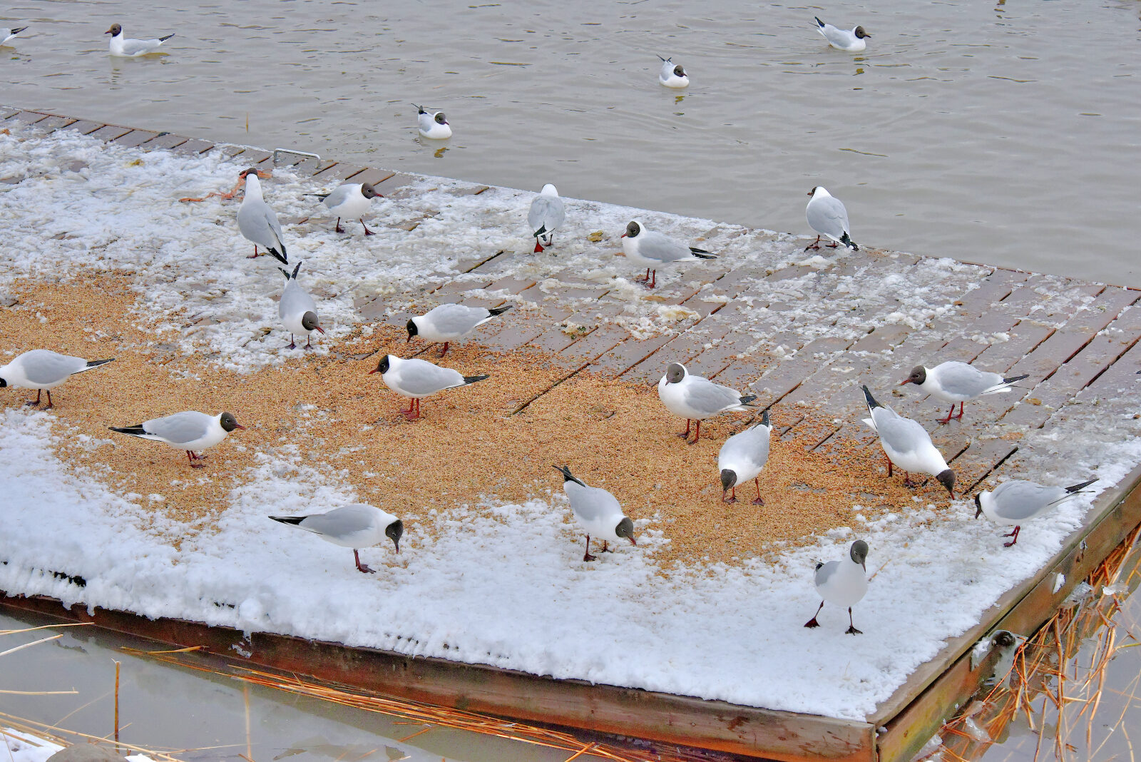 Valokuvaaja: Reijo Juurinen
