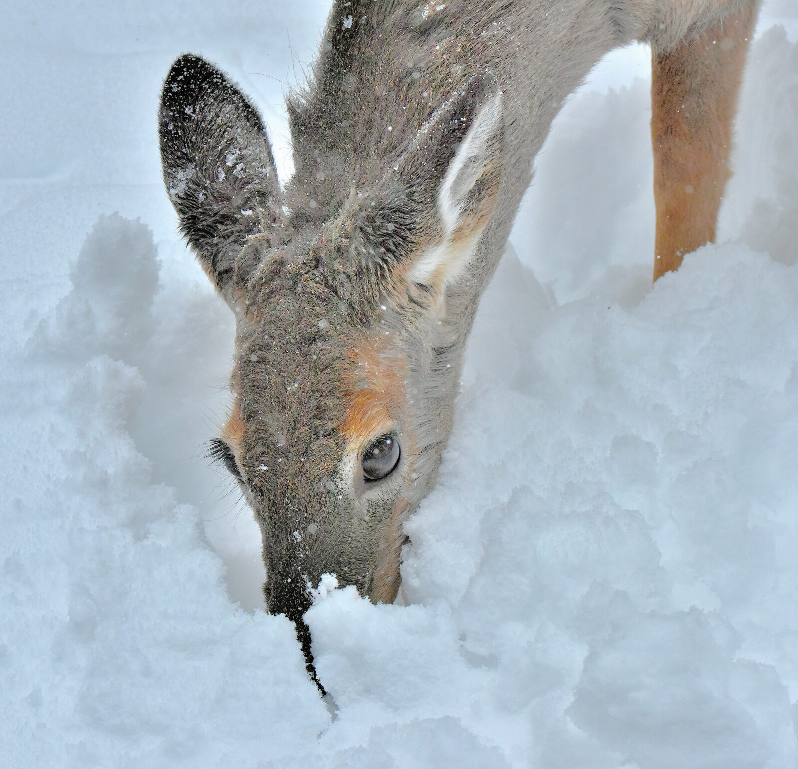 Valokuvaaja: Reijo Juurinen