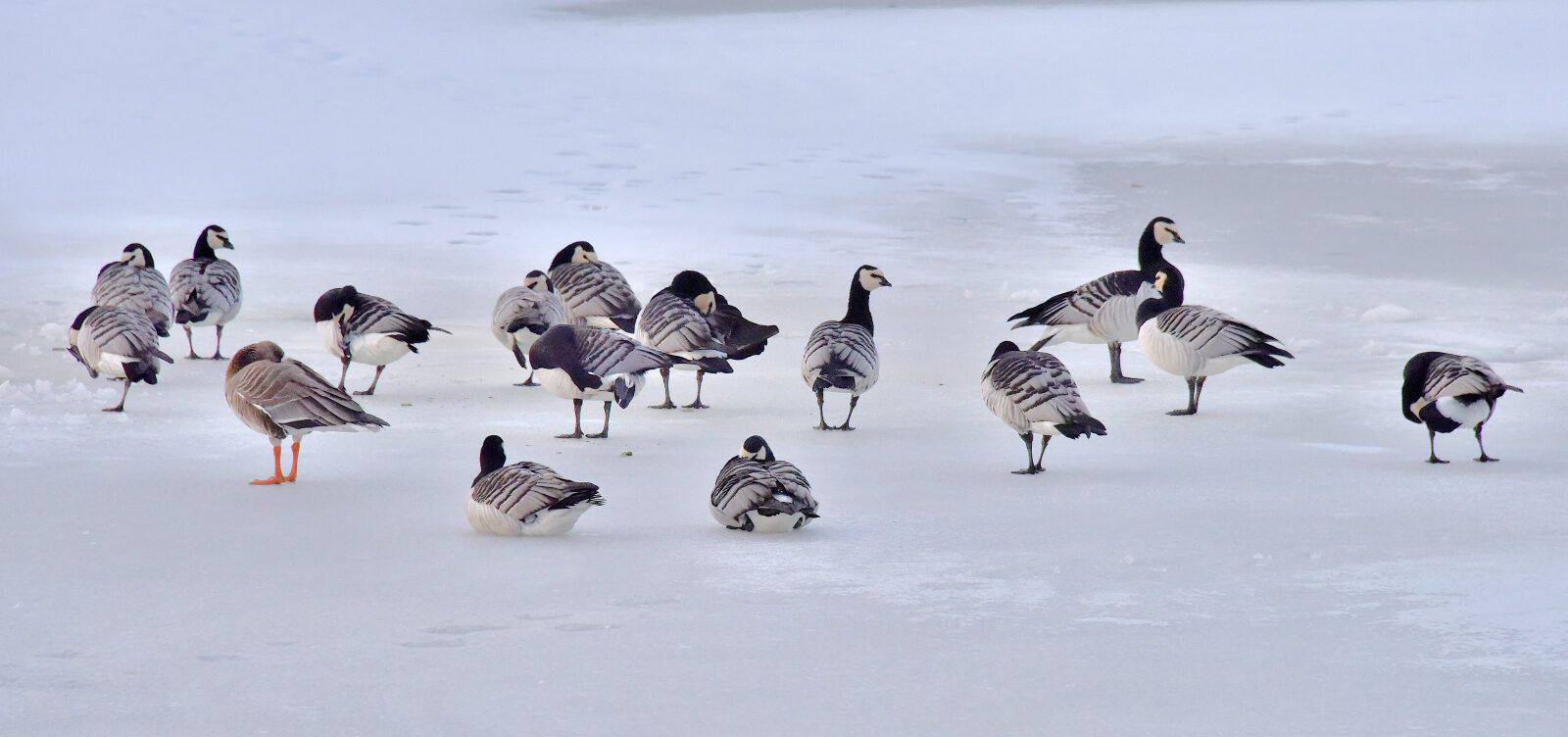 Valokuvaaja: Reijo Juurinen