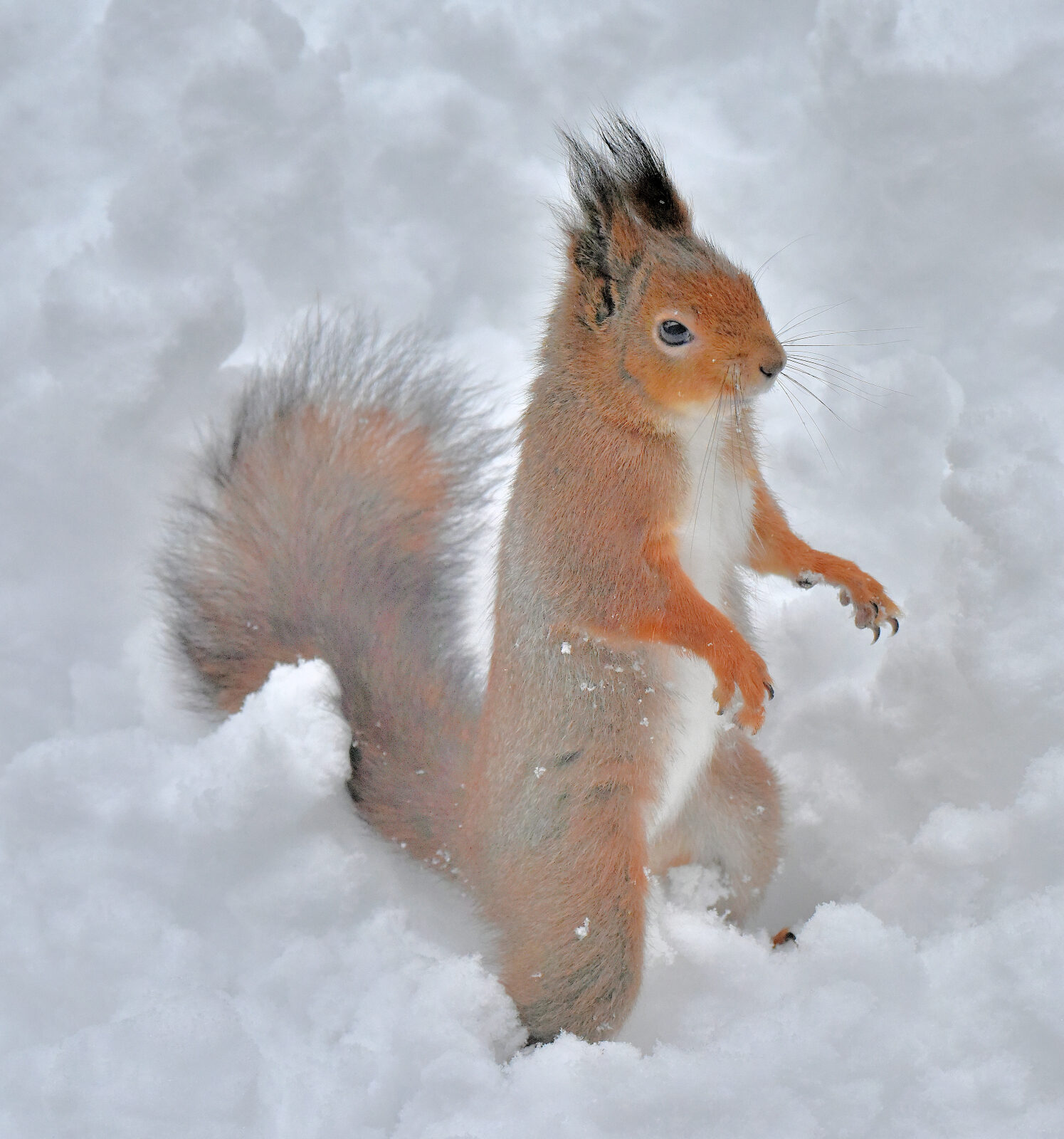 Valokuvaaja: Reijo Juurinen