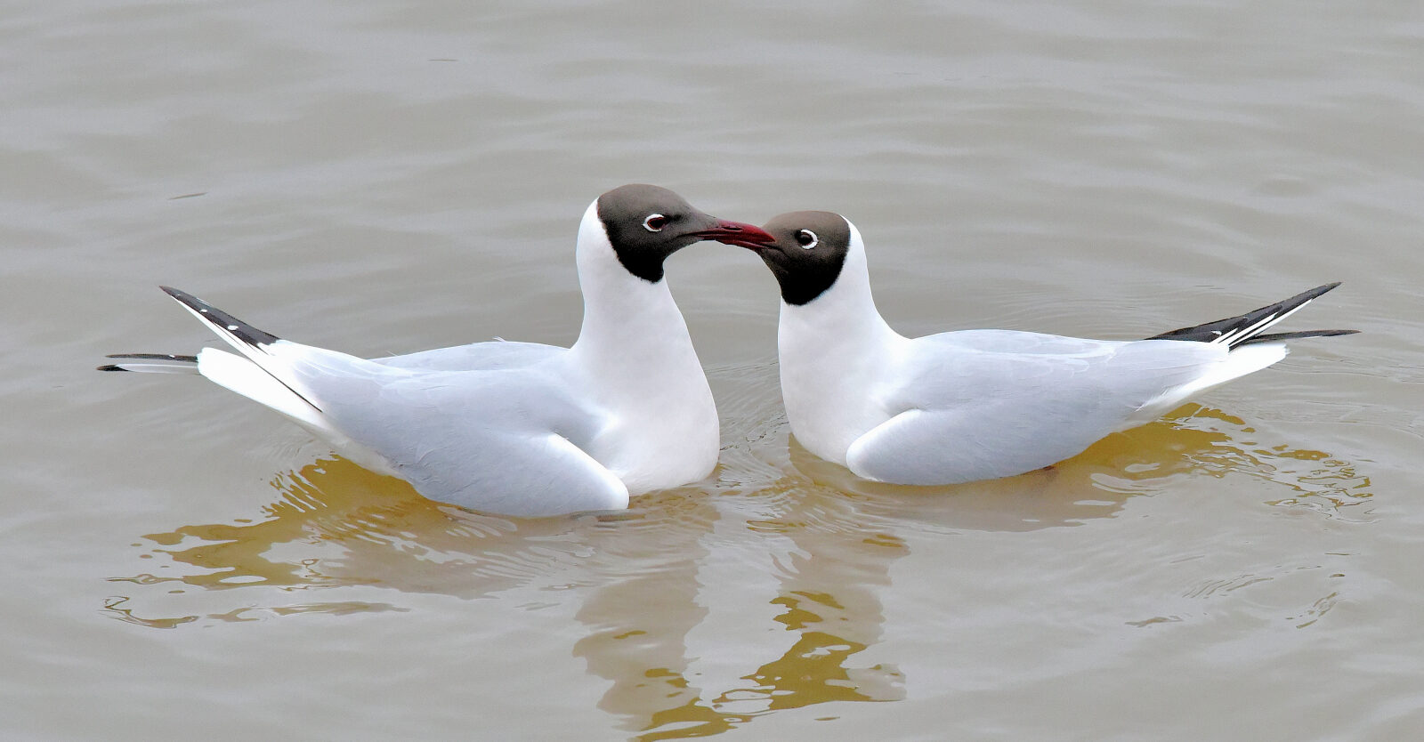 Valokuvaaja: Reijo Juurinen