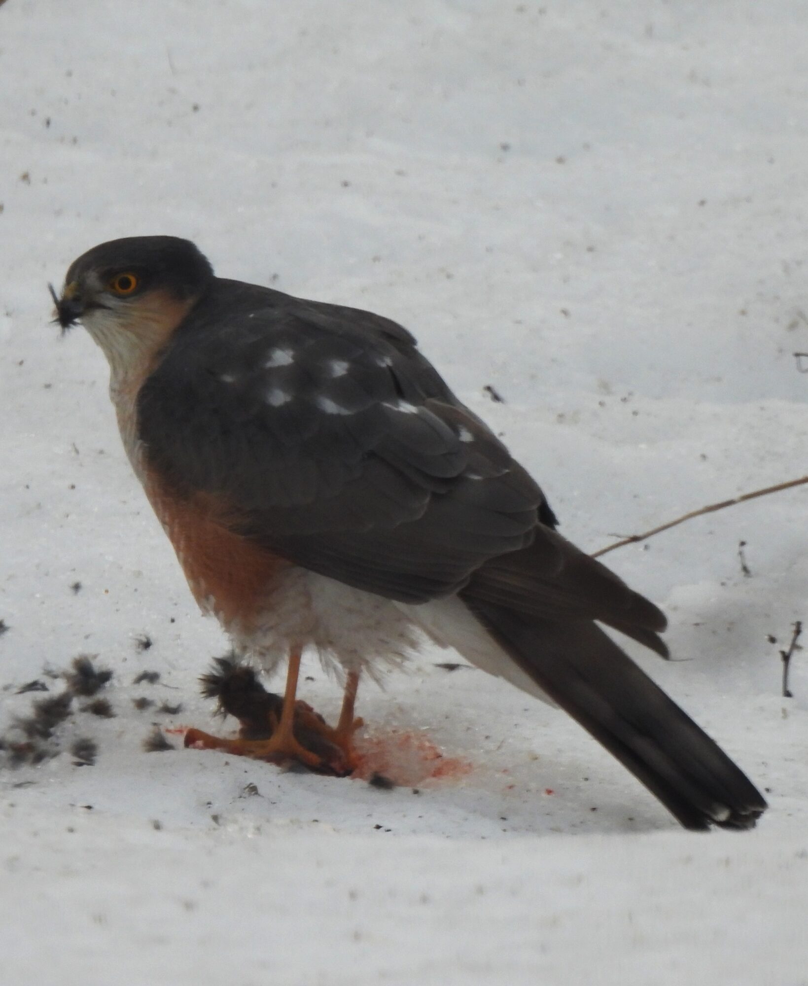 Valokuvaaja: Eeva Ahtola